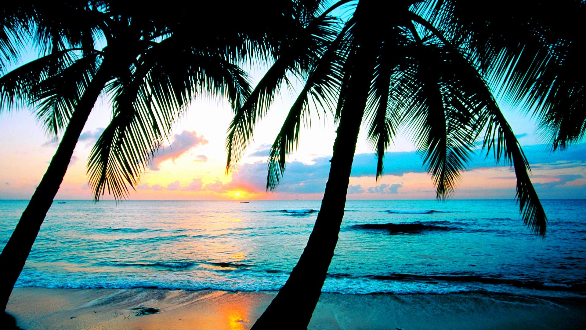 Tropical Beach Wallpaper Desktop background picture