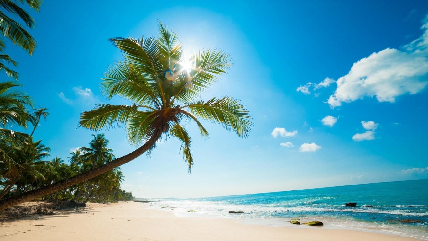 Download HD Nature Sea Ocean Palm Beach Island Trees Wallpaper