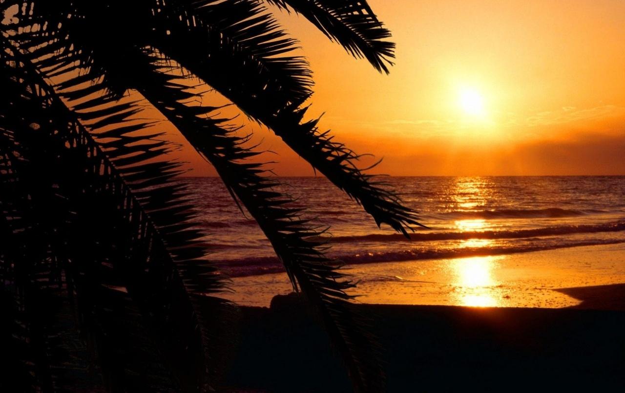 Sunset Palm Beach Florida wallpaper. Sunset Palm Beach Florida