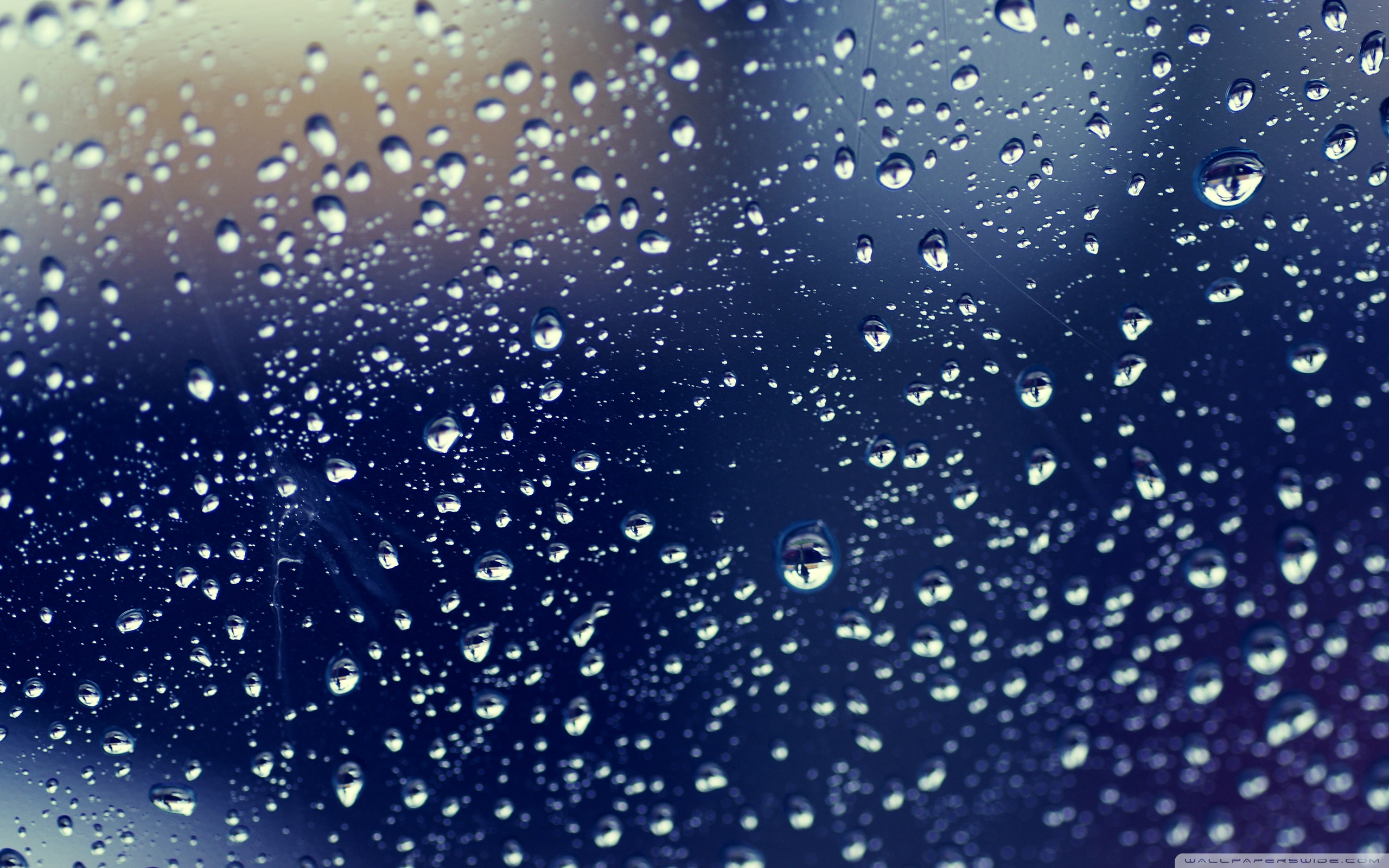 Glass Wallpaper 10 X 1600