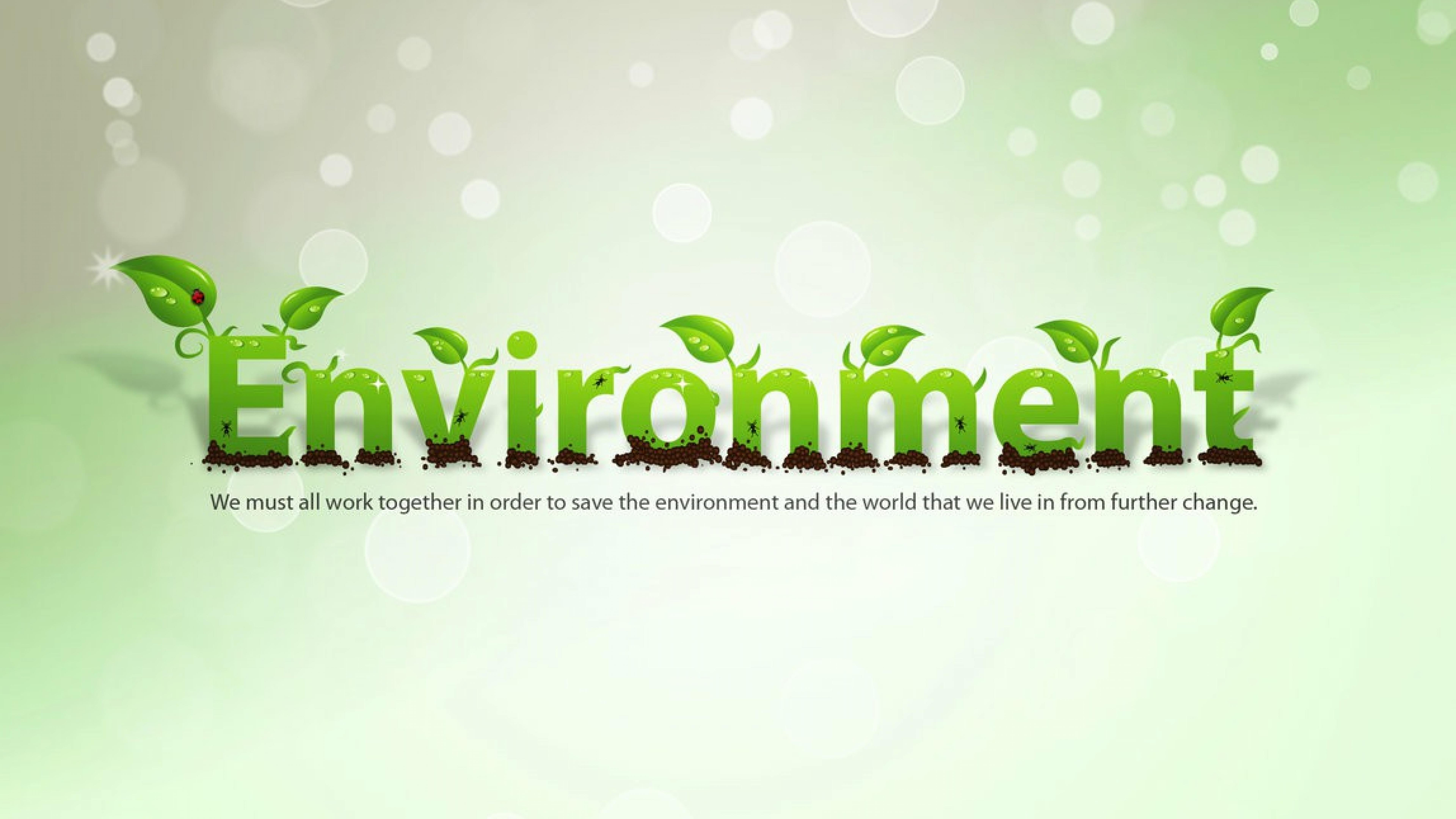 Environment Wallpaper