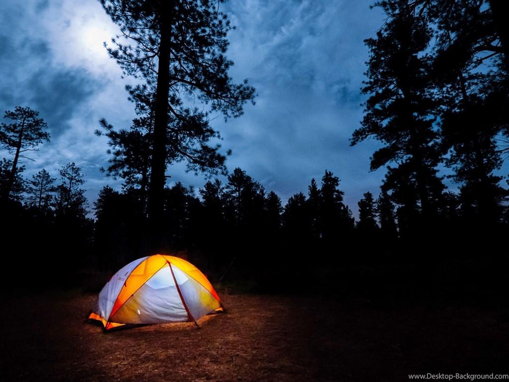 Camping In The Woods Uhd Wallpaper Ultra High Definition