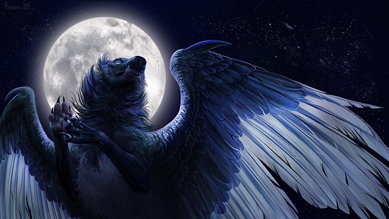 Photos Wolves Wings Fantasy Moon Night Magical animals