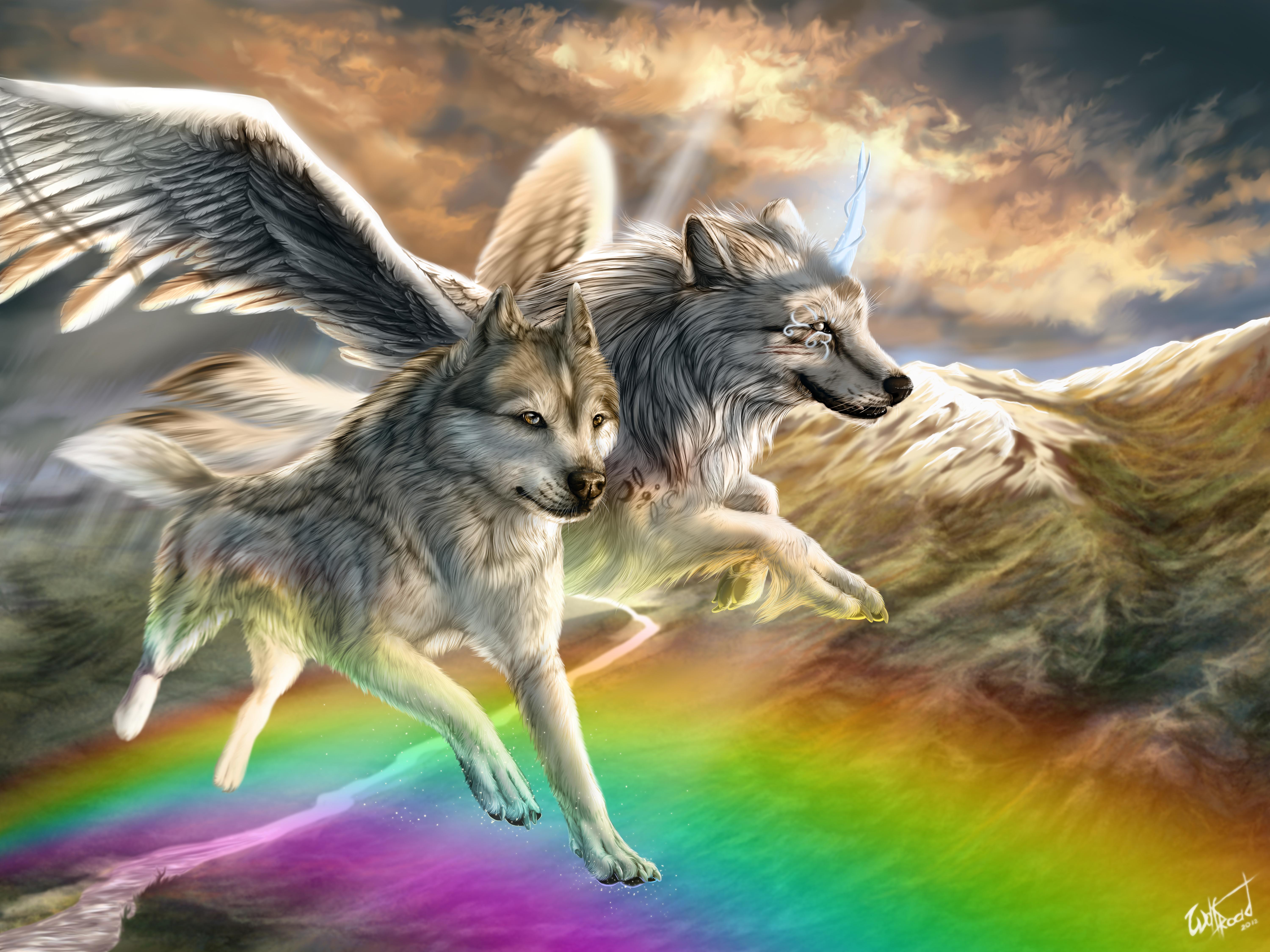 rainbow wolf wallpaper
