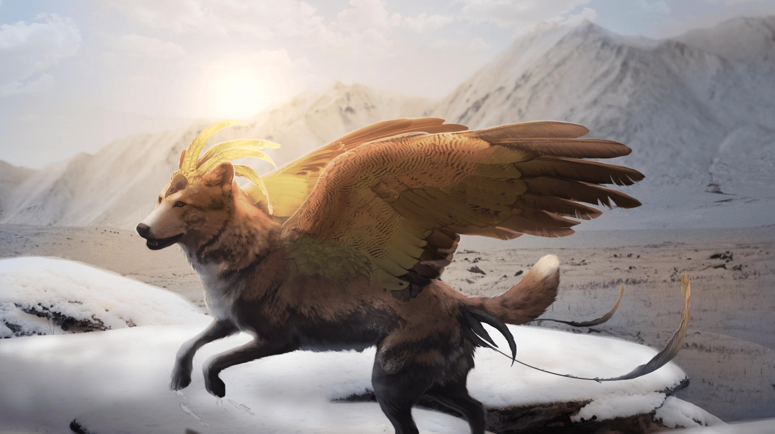 Download 2568x1440 Wolf With Wings, Fantasy Creature, Animal