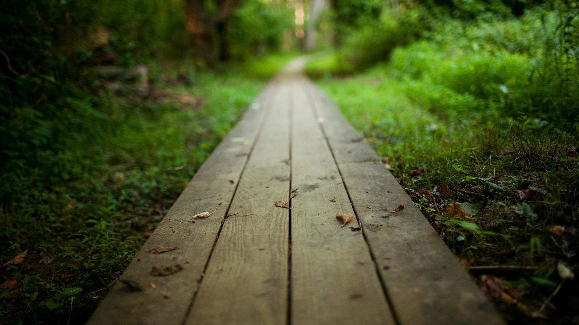 Path Wallpaper 3 X 1600