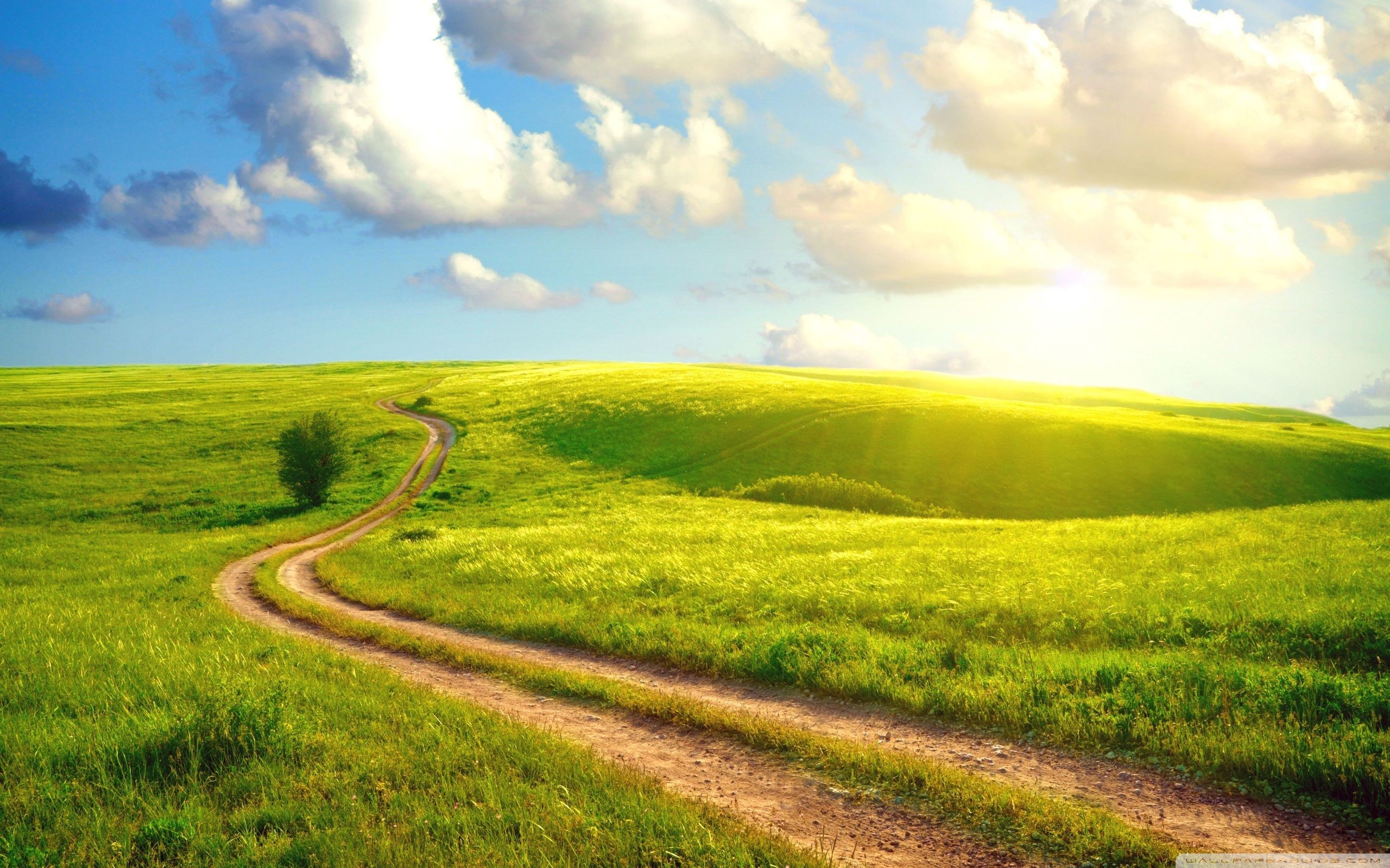 Field Path ❤ 4K HD Desktop Wallpaper for 4K Ultra HD TV • Dual