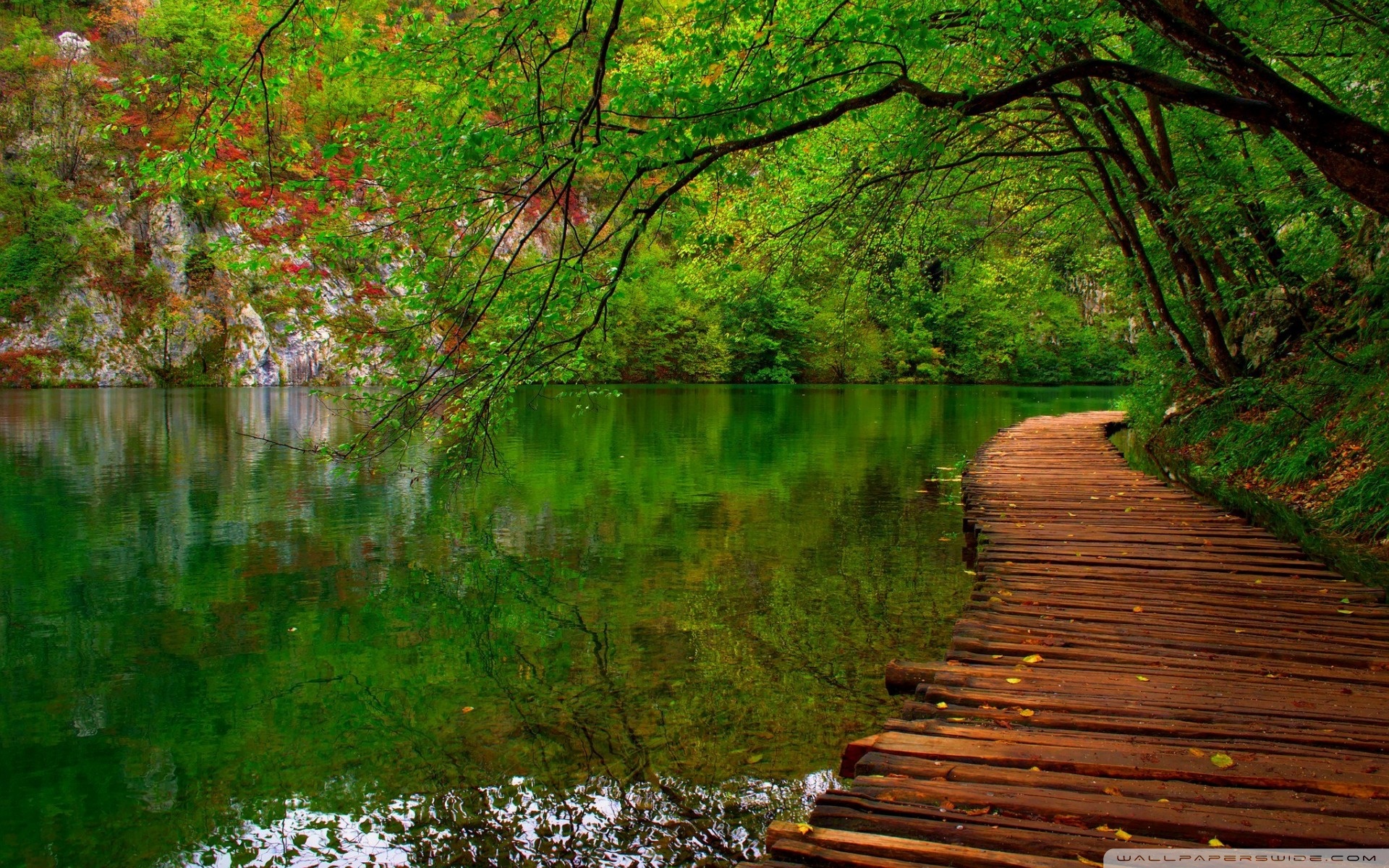 Nature River Wooden Path ❤ 4K HD Desktop Wallpaper for 4K Ultra HD