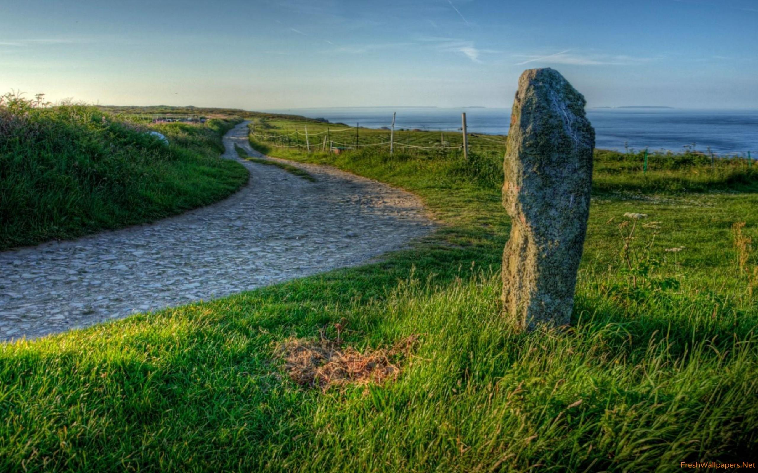 Rock in the grass near the path wallpaper