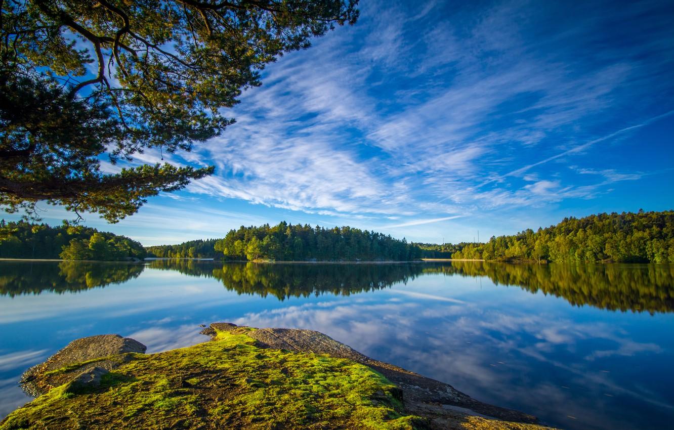 Wallpaper the sky, branches, Sweden, forest, Sweden, lake