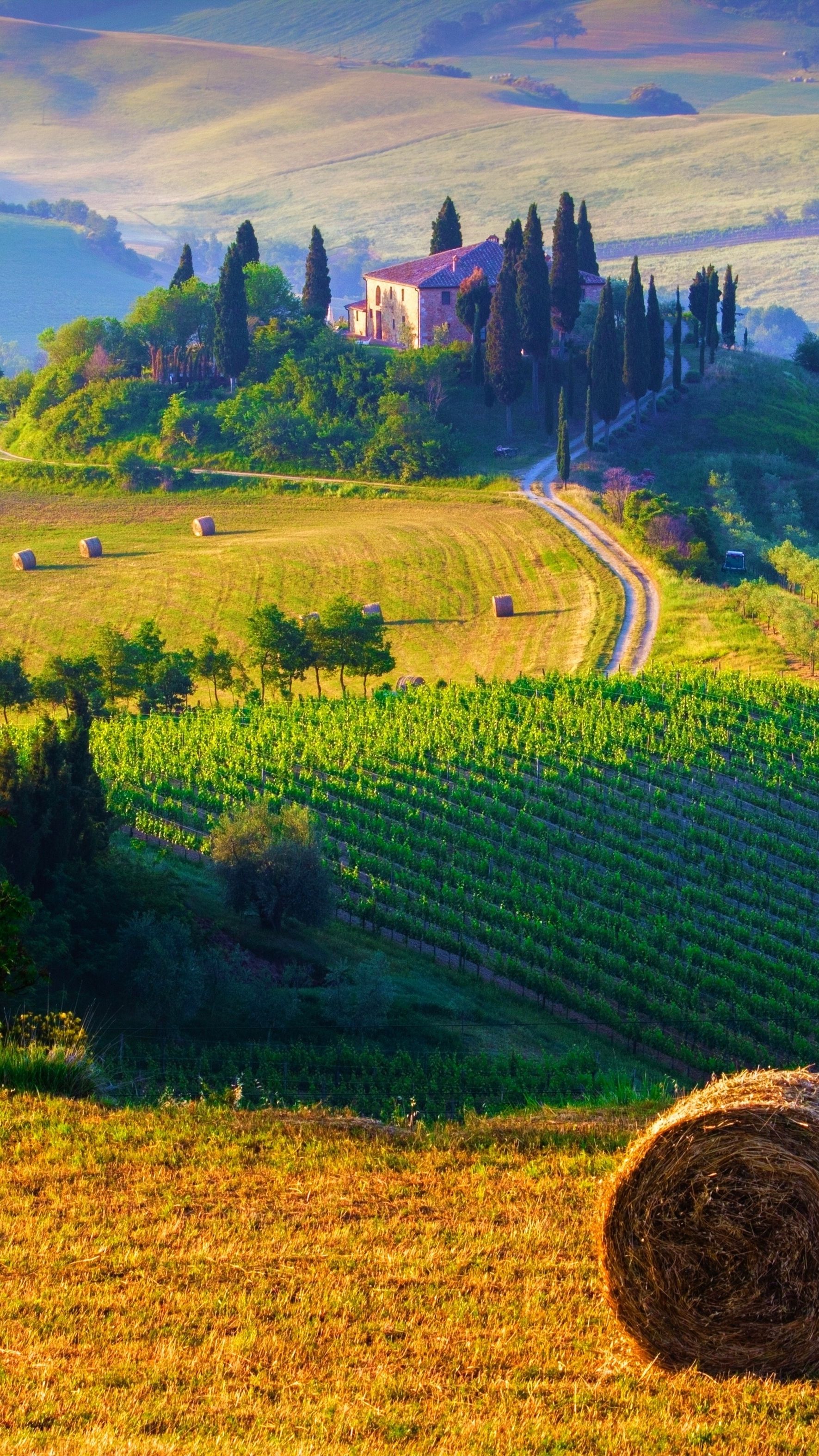 Tuscany Italy Landscape IPhone Wallpaper. Time For Myself In 2019