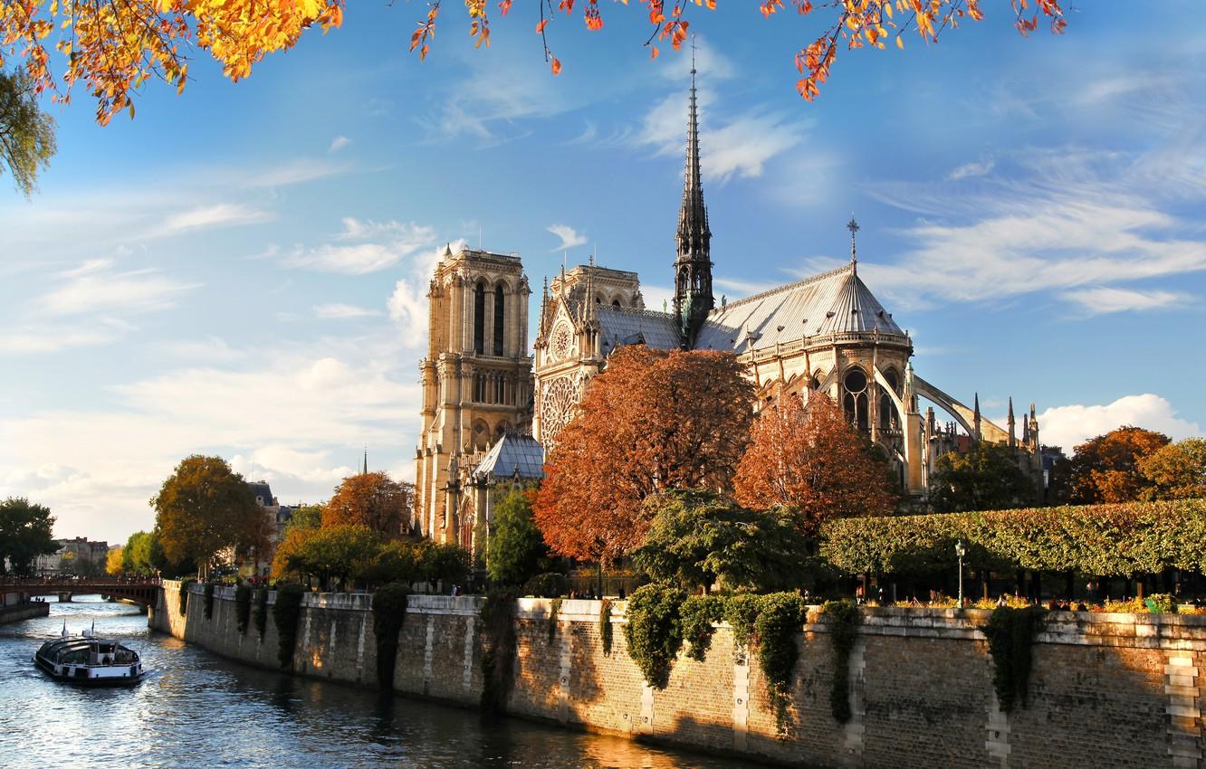 Wallpaper autumn, bridge, nature, the city, river, France, Paris