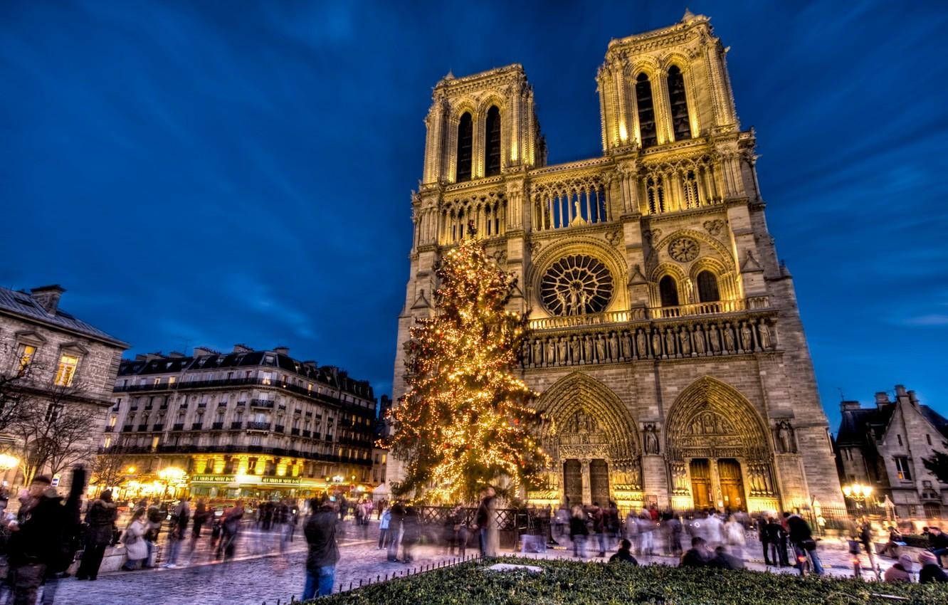 Wallpaper holiday, France, Paris, tree, New Year, area, Notre Dame