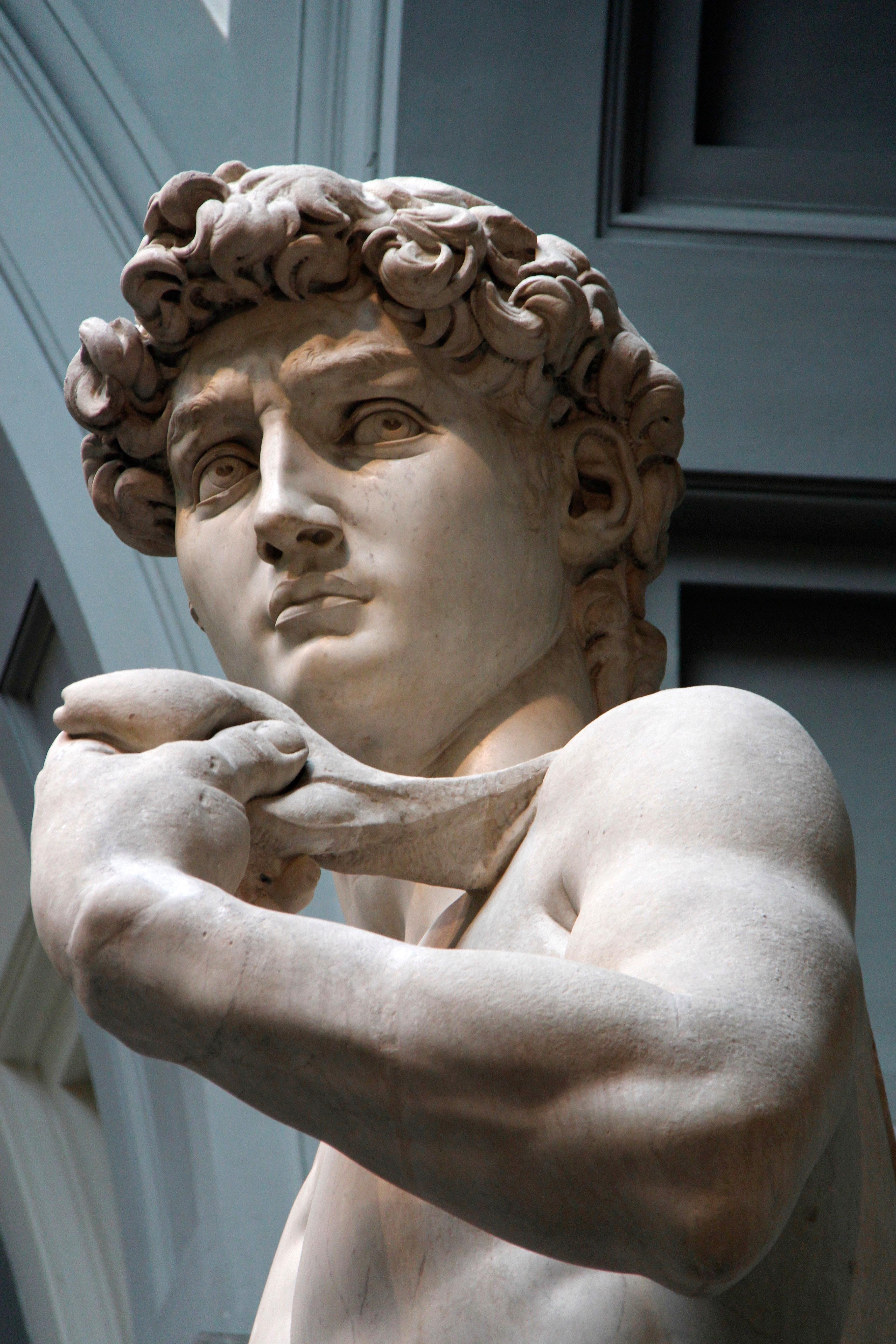 David Michelangelo / 'David' Posters Michelangelo