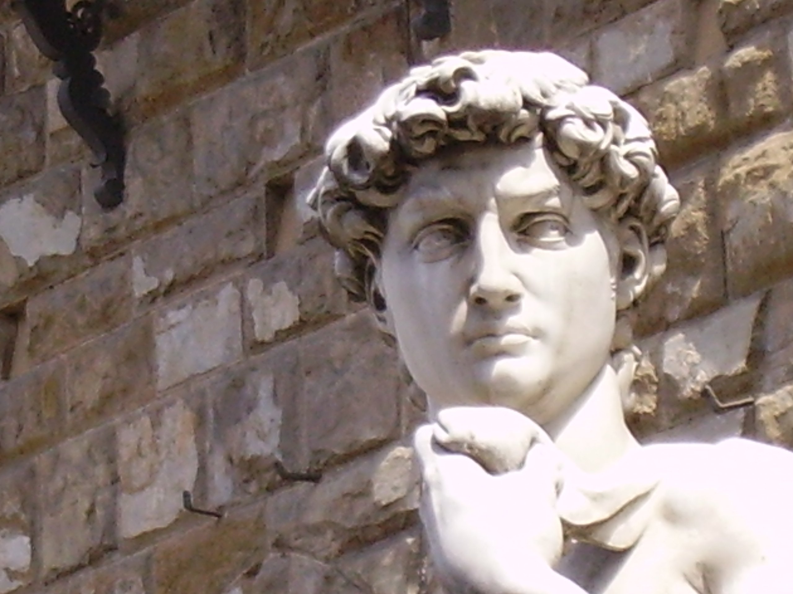 Michelangelo Buonarroti David Replica