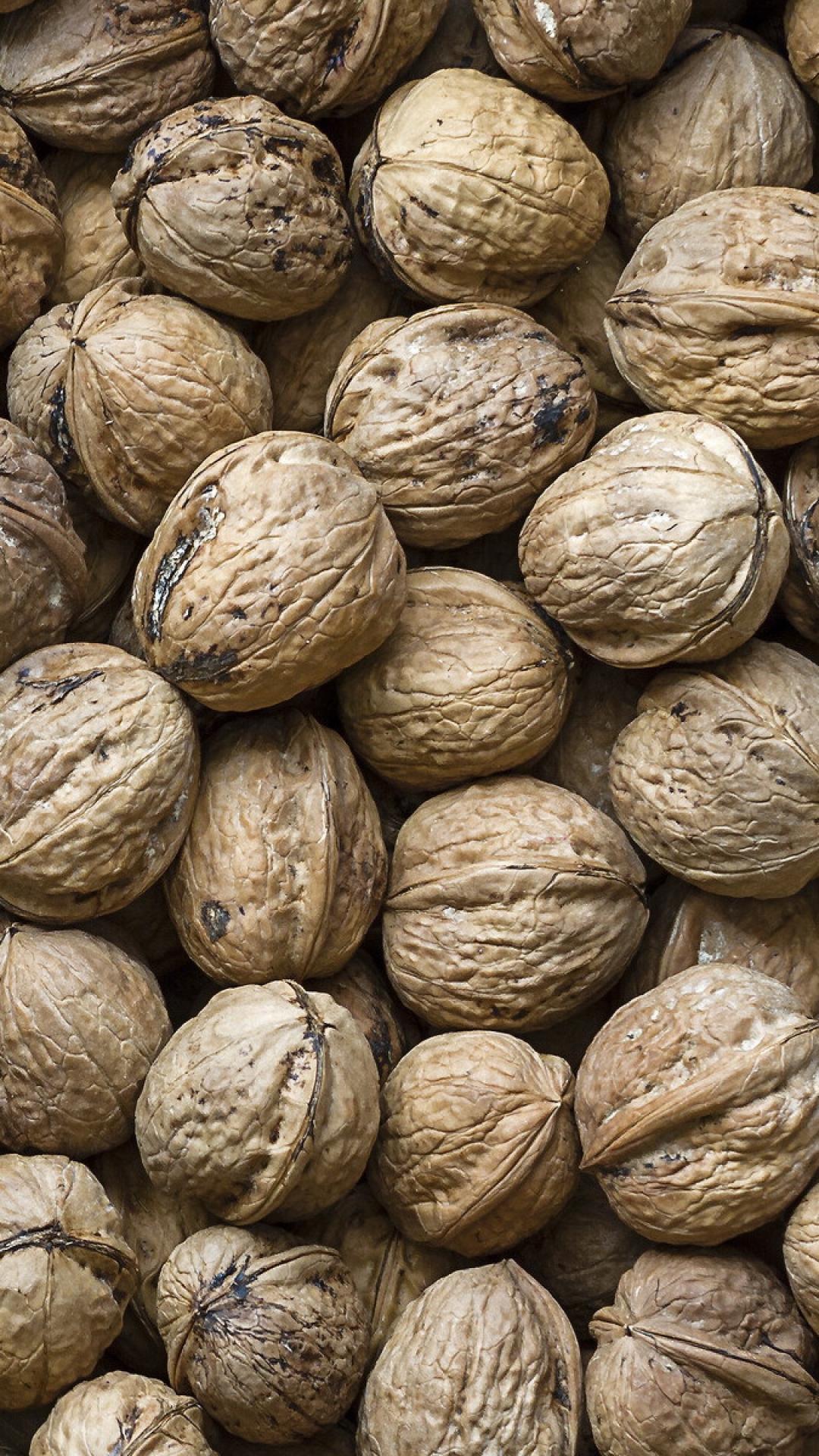 HD Background Walnuts Shelled Nuts Texture Dried Fruit Wallpaper