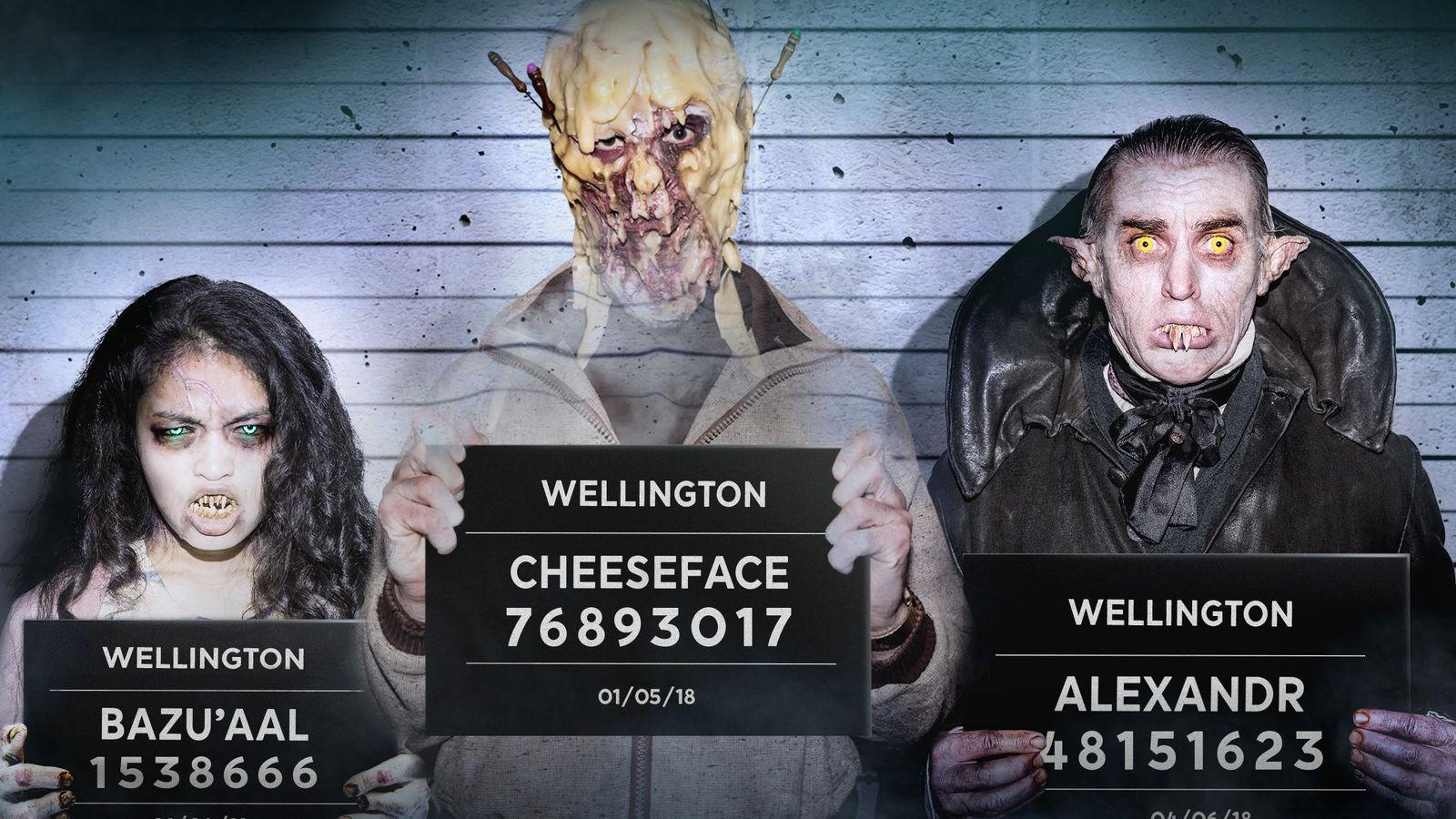For What We Do In The Shadows TV Spin Off Wellington