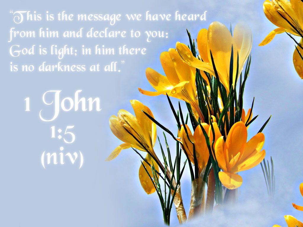 John 1:5 This is the message we have heard from him and declare to