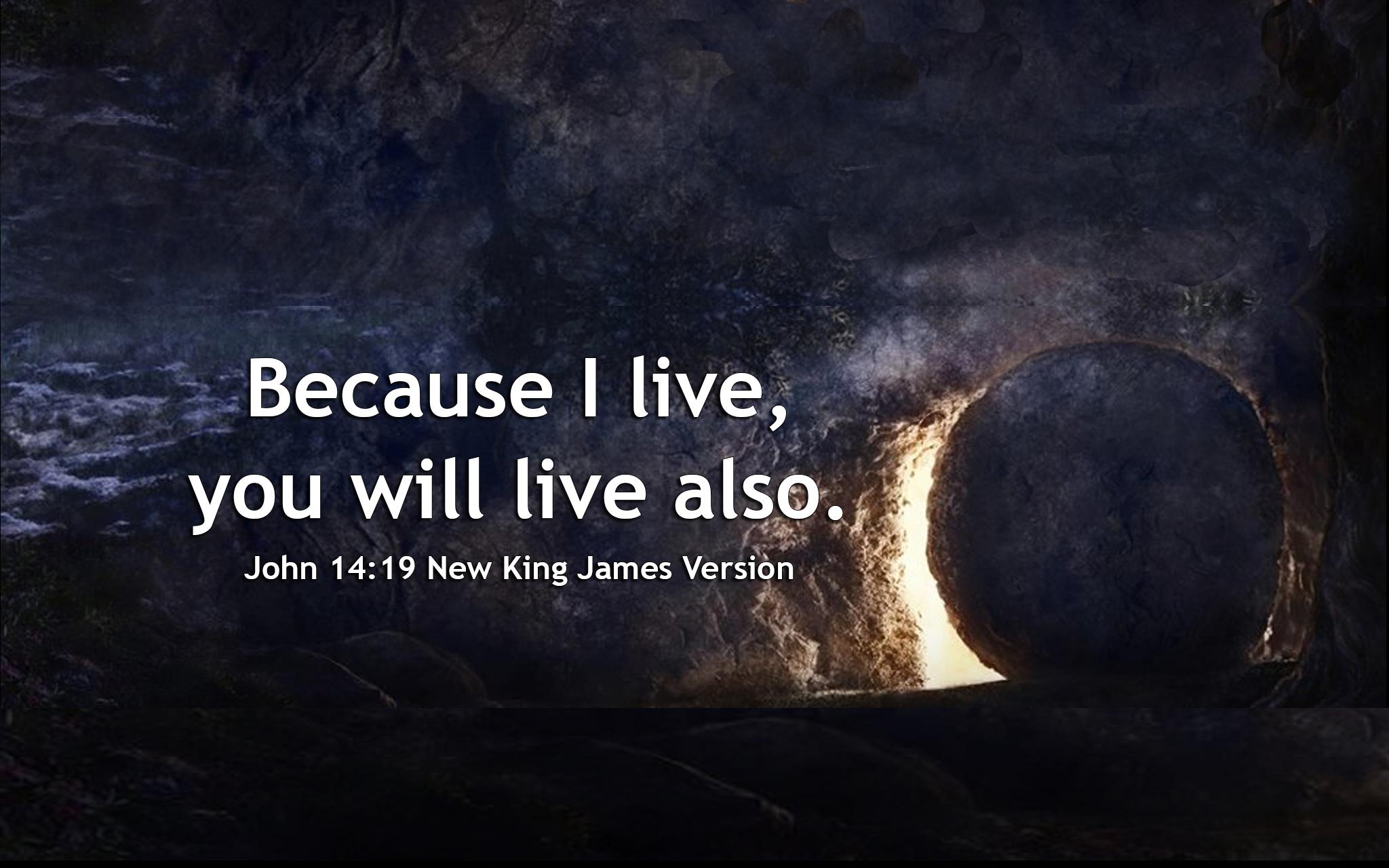 John 14:19 Scripture Wallpaper, Email Banner, Scripture Picture