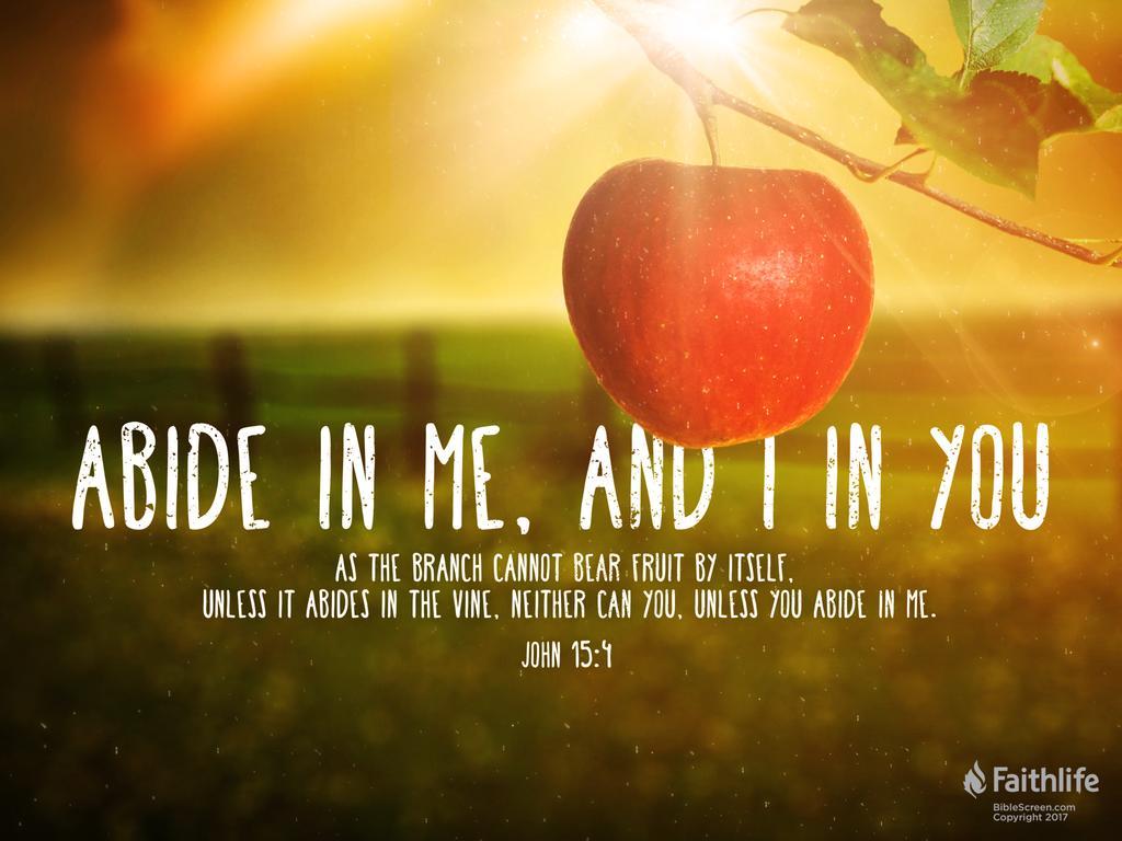 John 15:1–5