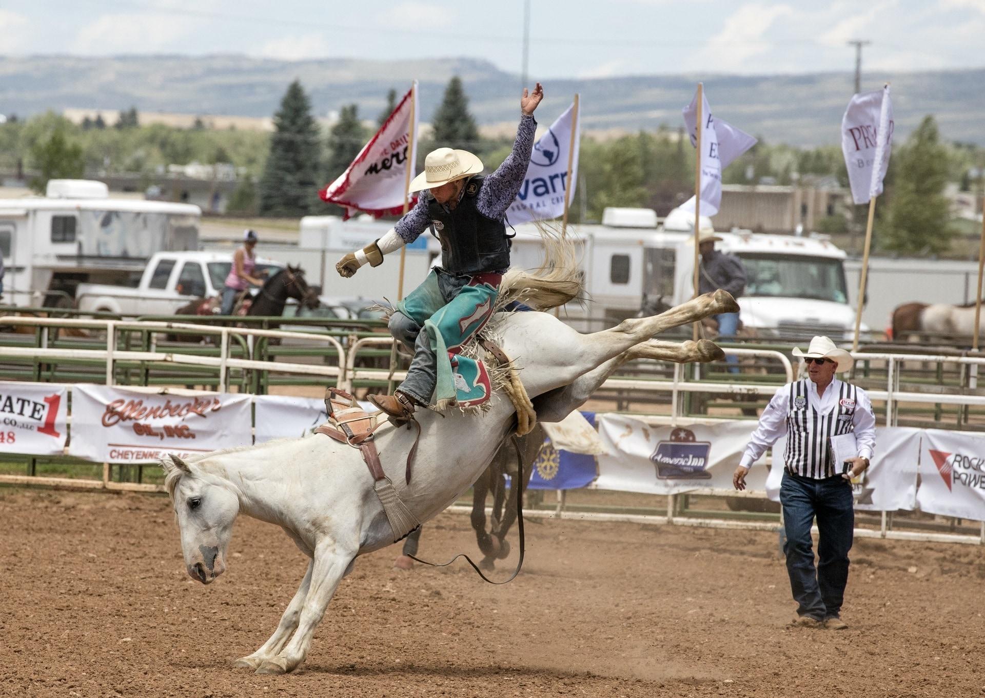 Bronc Rider, Cowboys, Rodeo, Bronco, horse, gambling free image