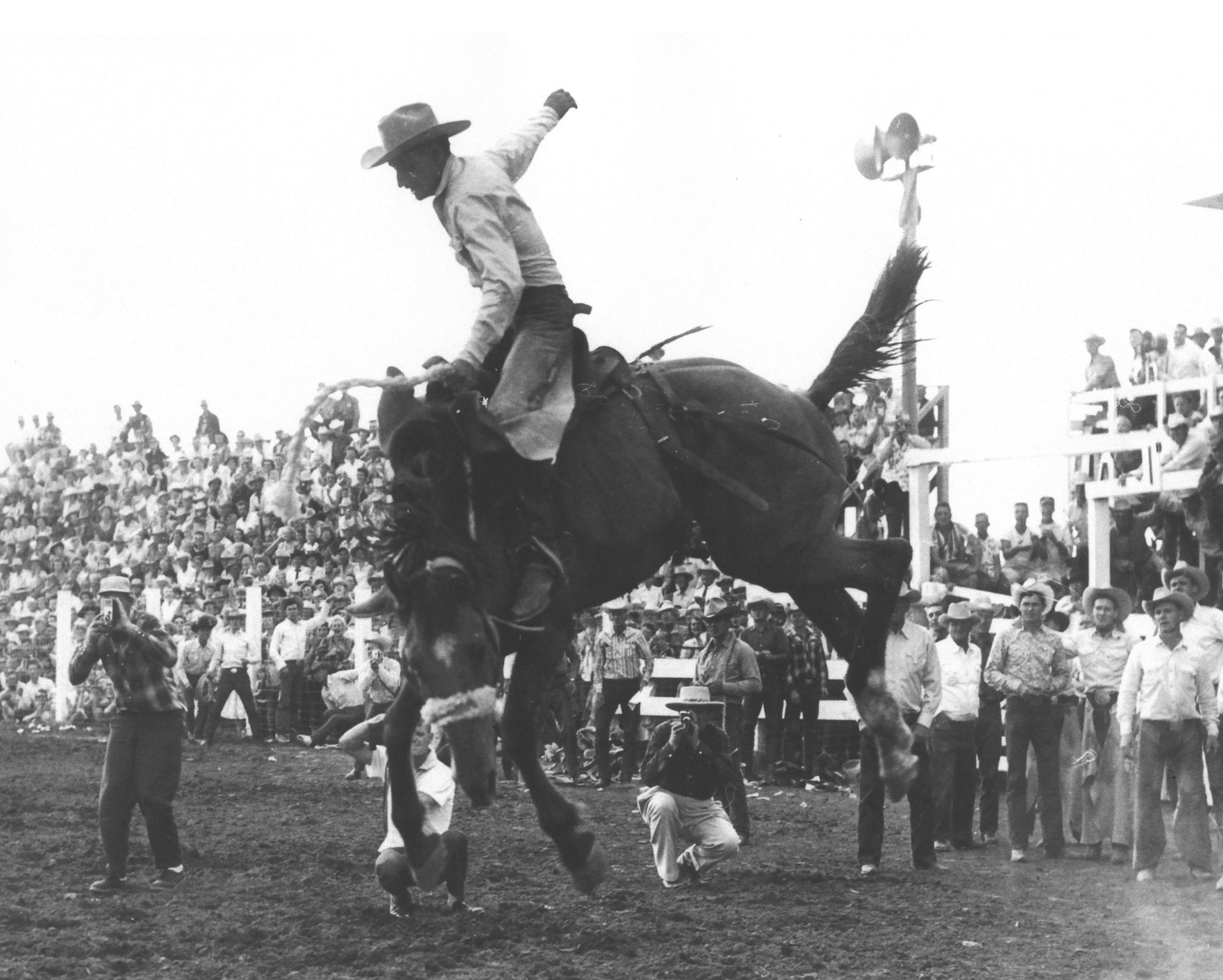 Saddle Bronc Riding. North Dakota Cowboy Hall of Fame