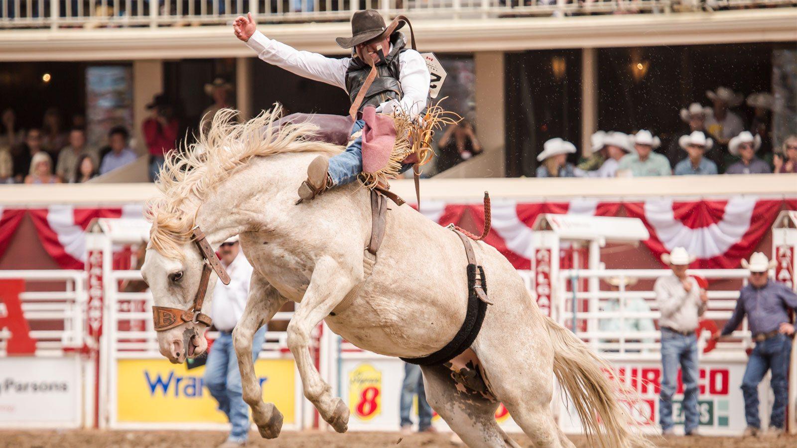 A Beginner's Guide to Alberta Rodeo