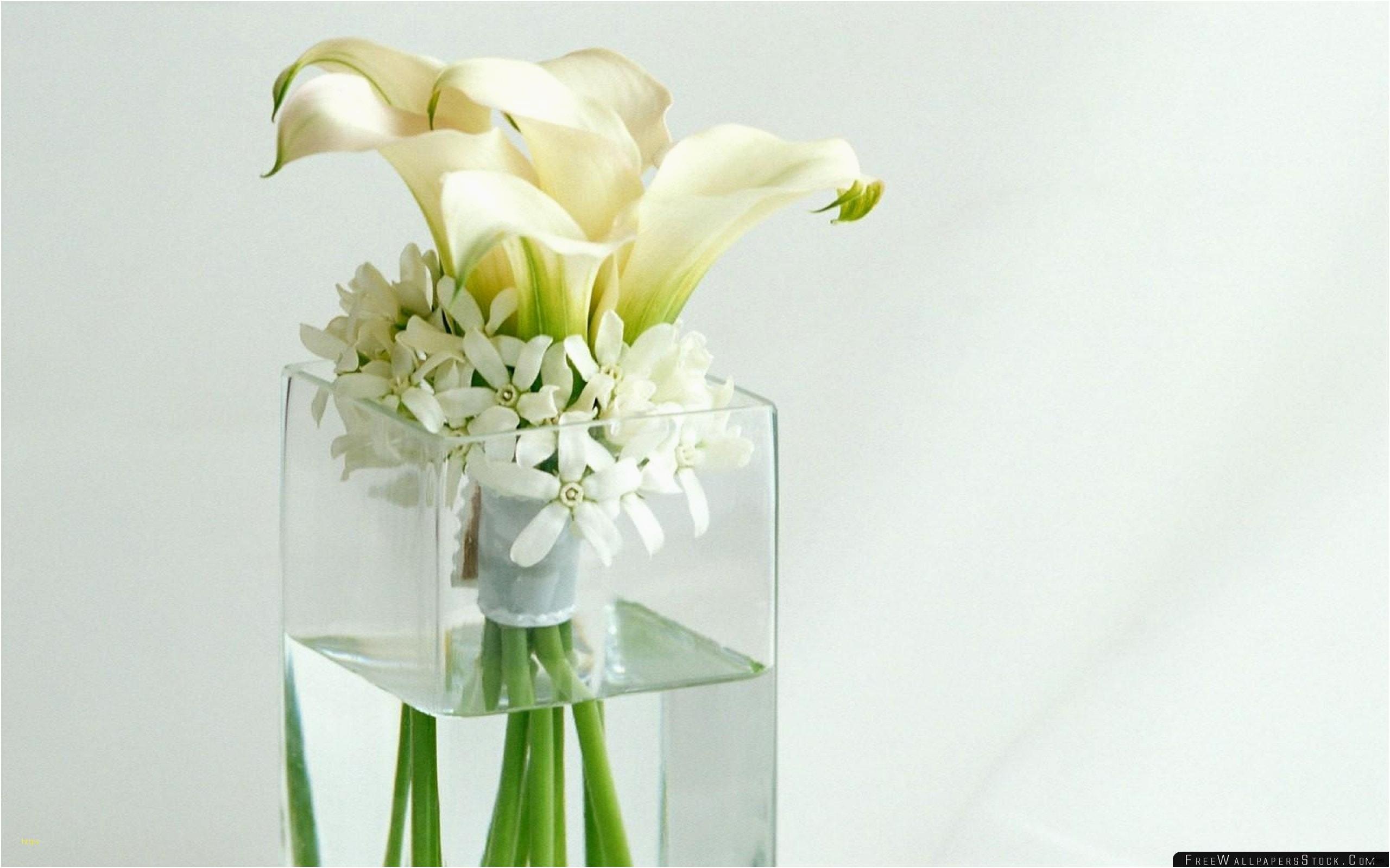 Flowers Wallpaper Tumblr Unique White Flower 3 Wallpaper Unique 15