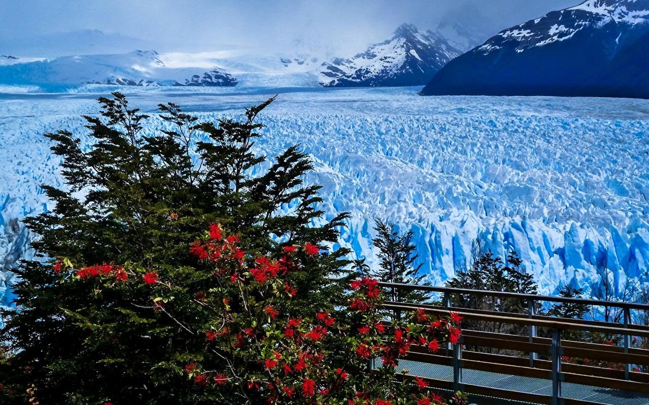 Wallpaper Argentina Perito Moreno Glacier Santa Cruz Province