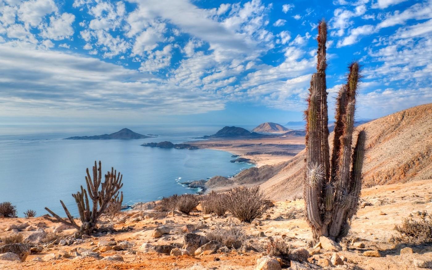 nature, Landscape, Beach, Cactus, Sea, Hill, Clouds, Atacama Desert