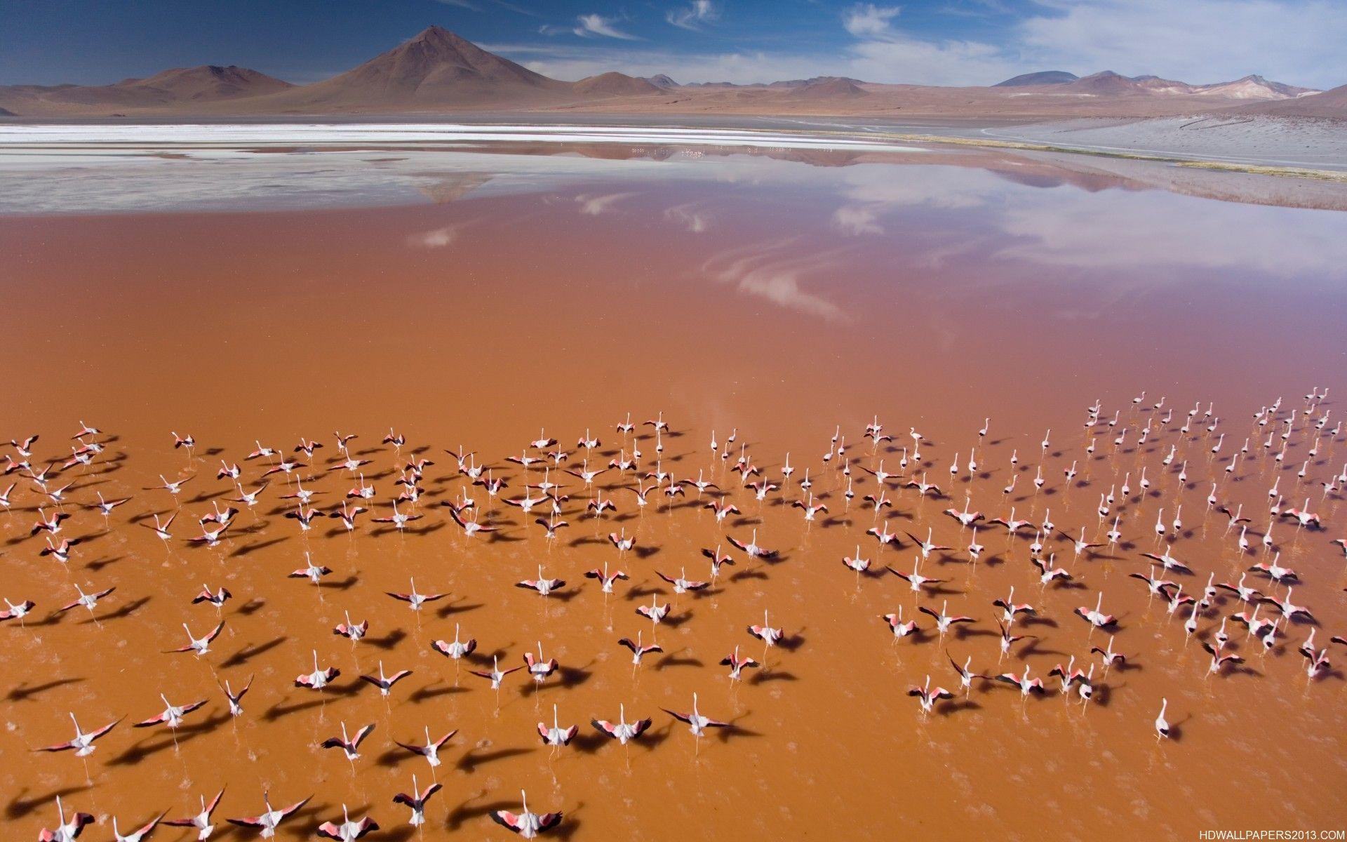 Atacama Desert. Bucket ToDo List. Deserts, Bolivia, Places