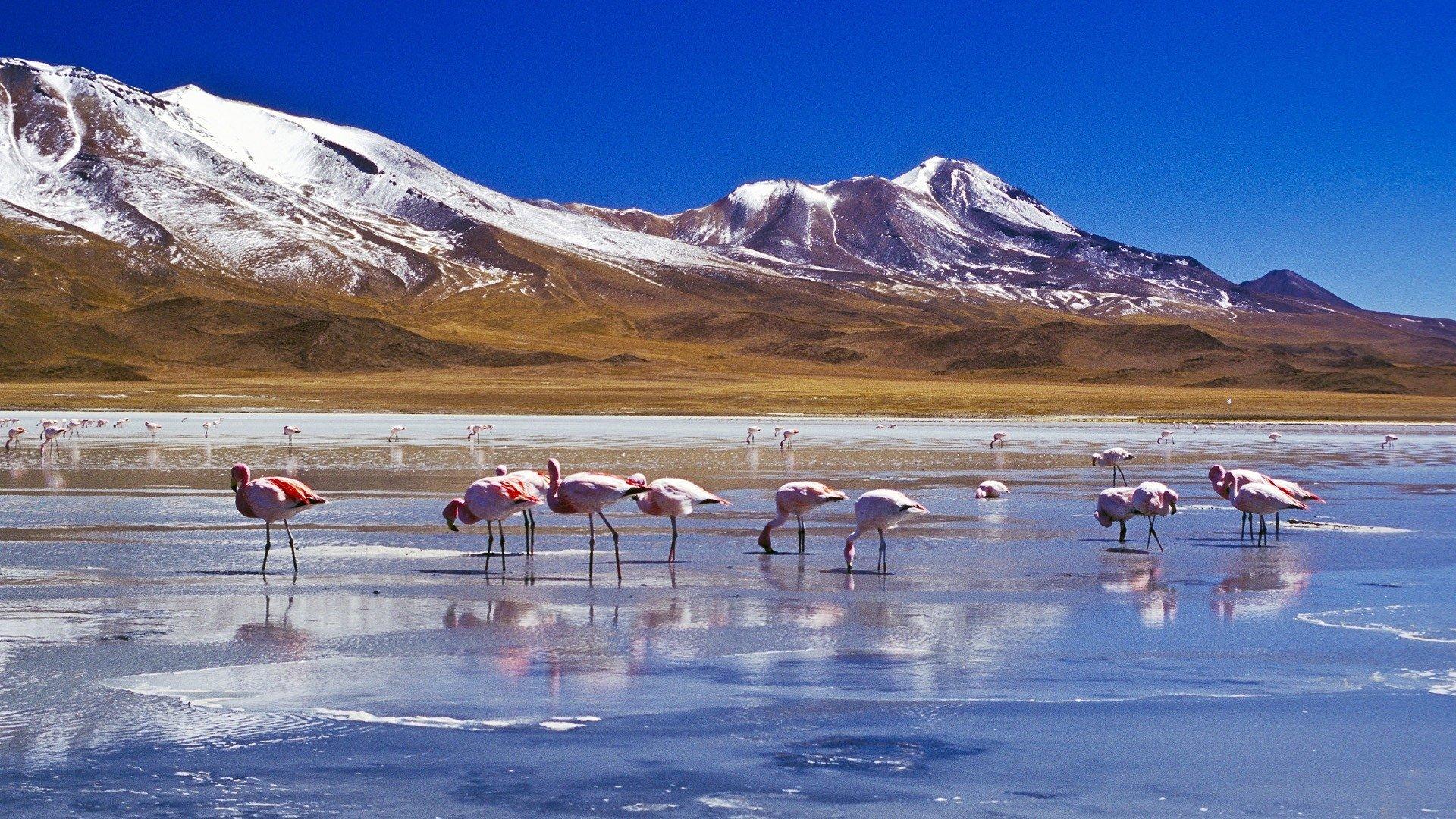 The Salar de Uyuni salt flats in Bolivia HD Wallpaper. Background