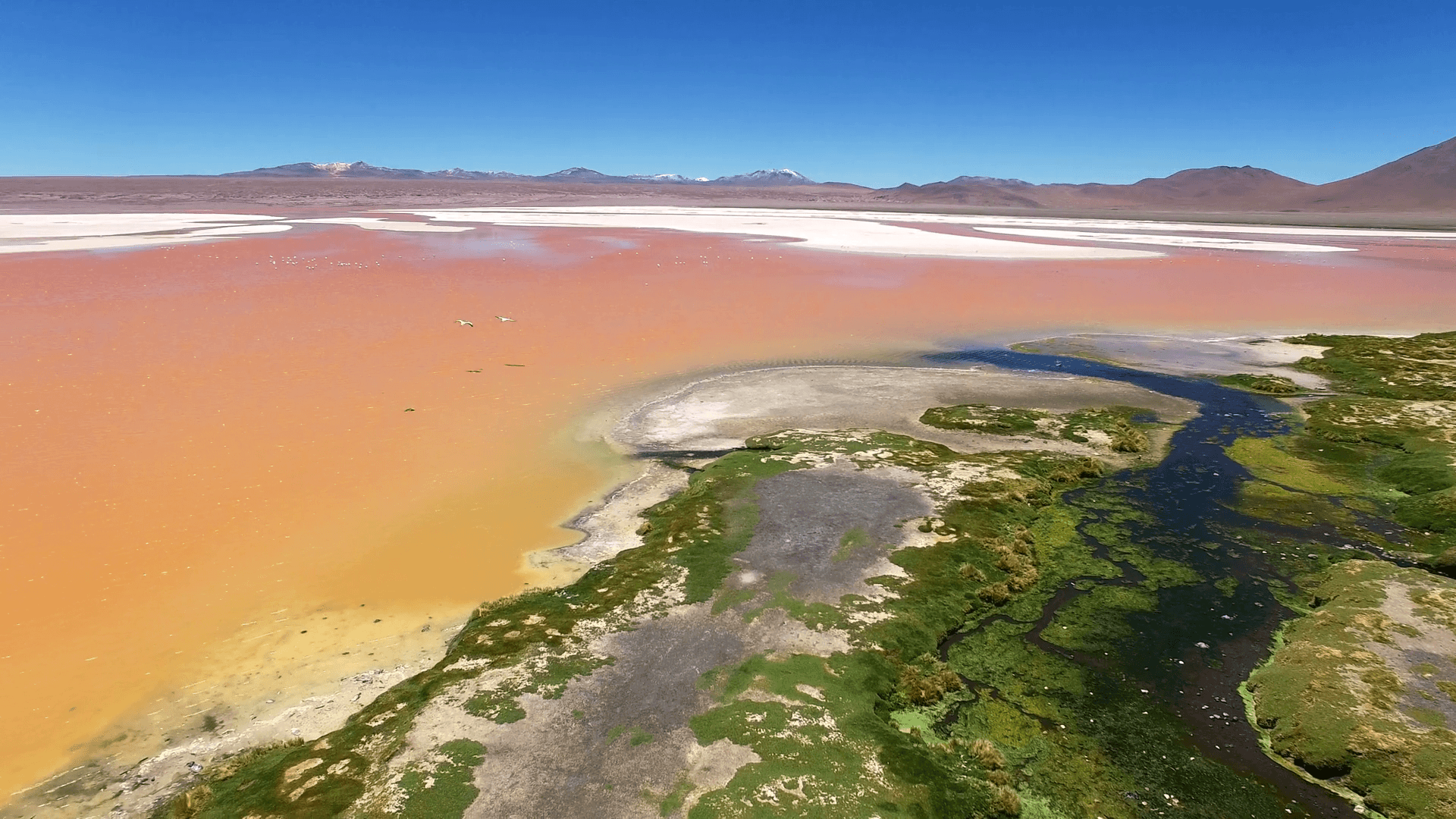 Aerial view of Laguna Colorada (red water lake), Atacama desert