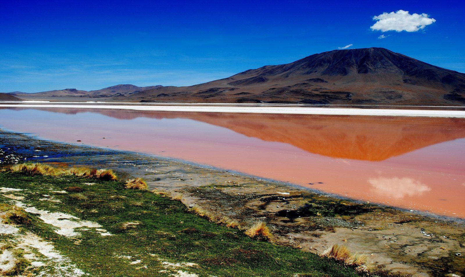 laguna colorada bolivia. Laguna Colorada, Bolivia Photo Travel