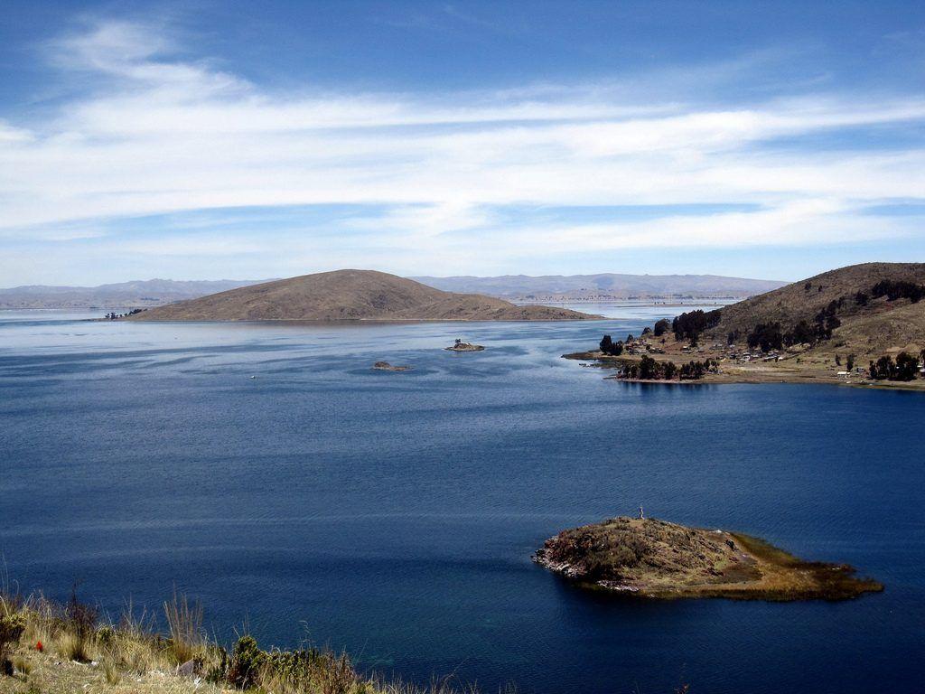 Birds. Lake Titicaca Bolivia HD wallpaper wallpaper free download