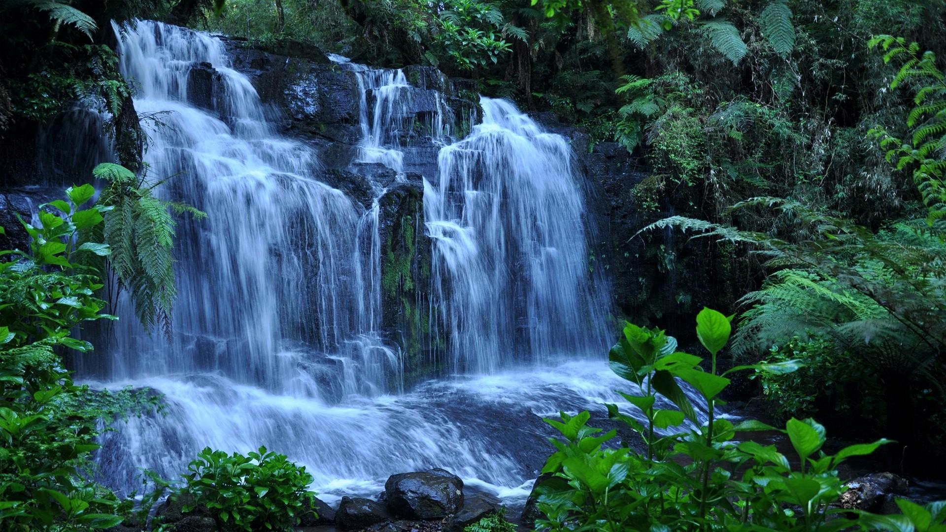 Kaieteur Falls in Guyana Beautiful Waterfall HD Wallpaper. HD