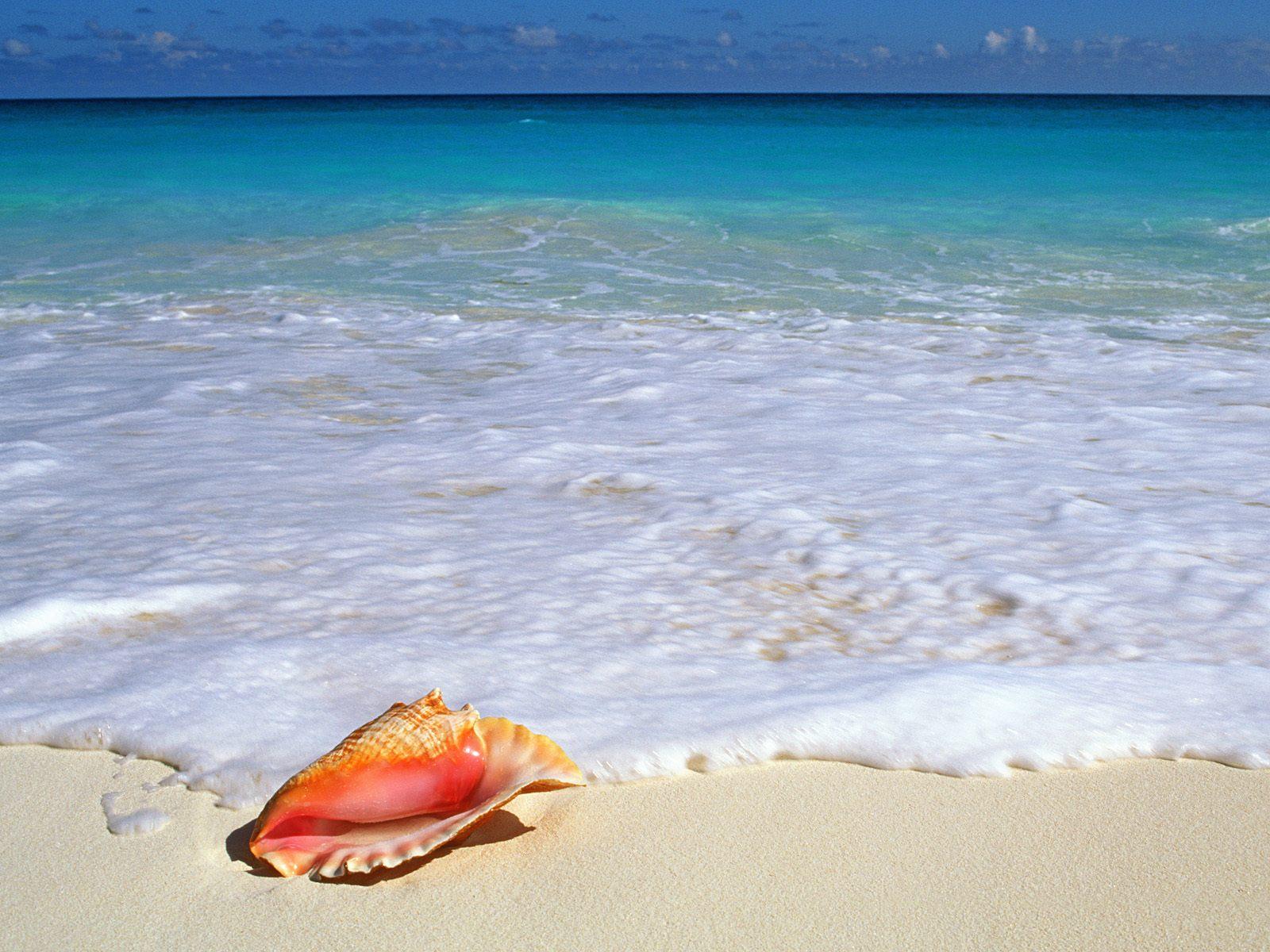 Beachside Treasure Yucatan Peninsula Mexico And Coasts