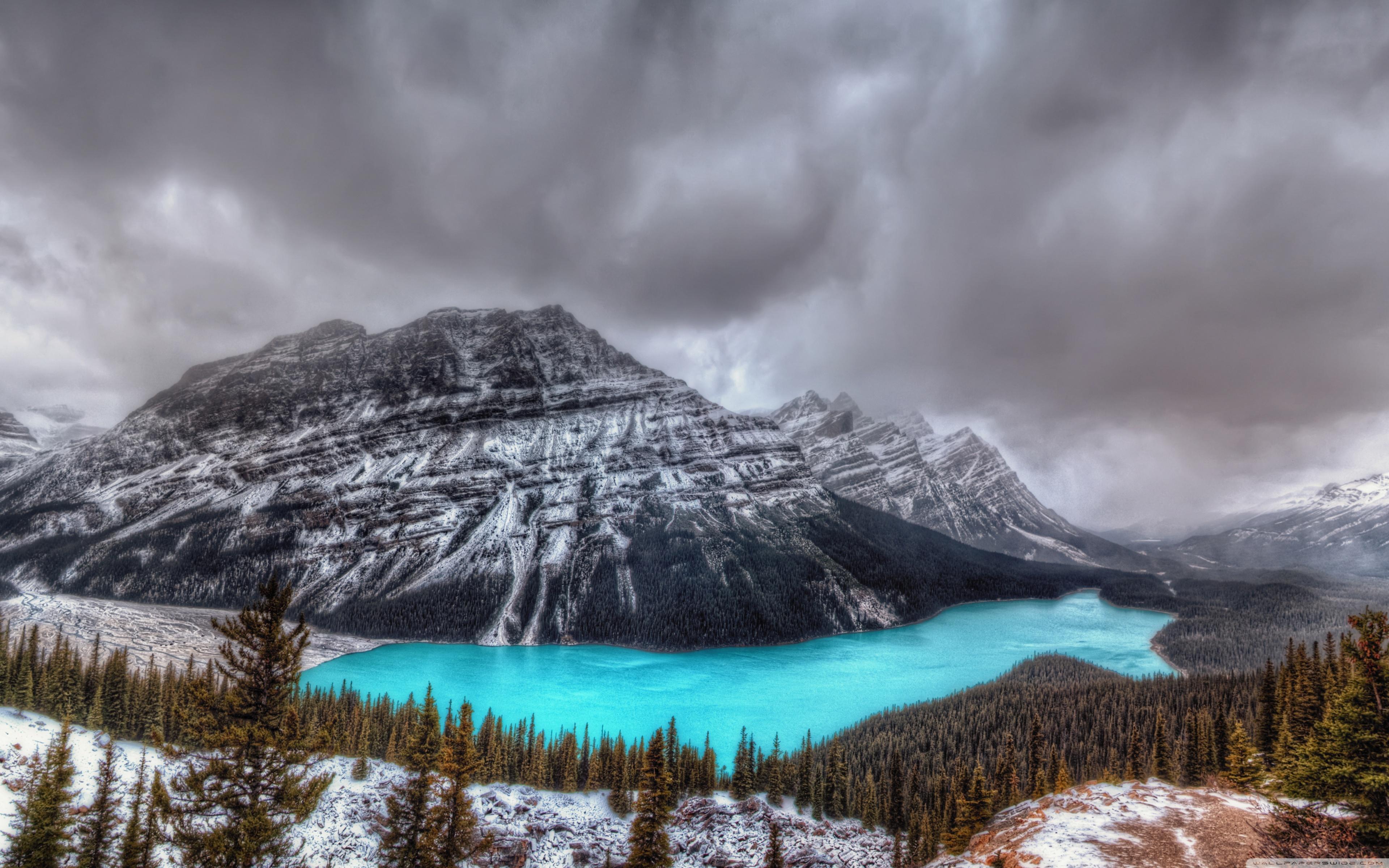 Peyto Lake, Canadian Rockies, Banff National Park ❤ 4K HD Desktop