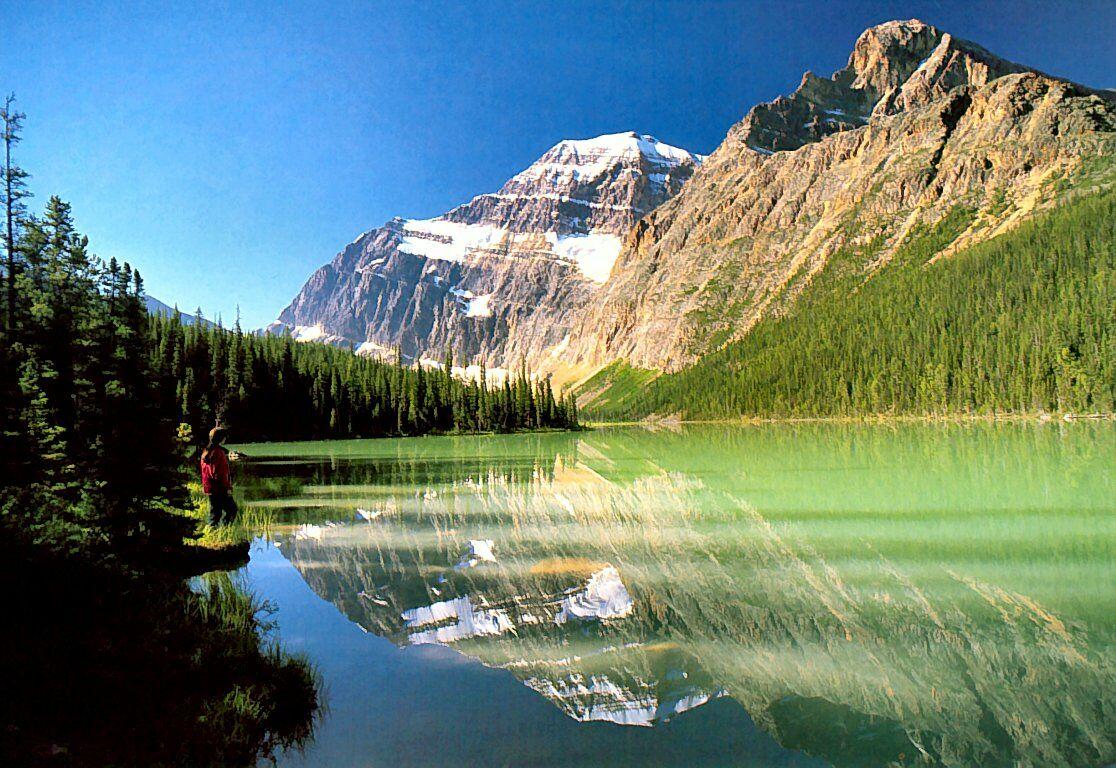 Canadian Rockies Cavell Lake