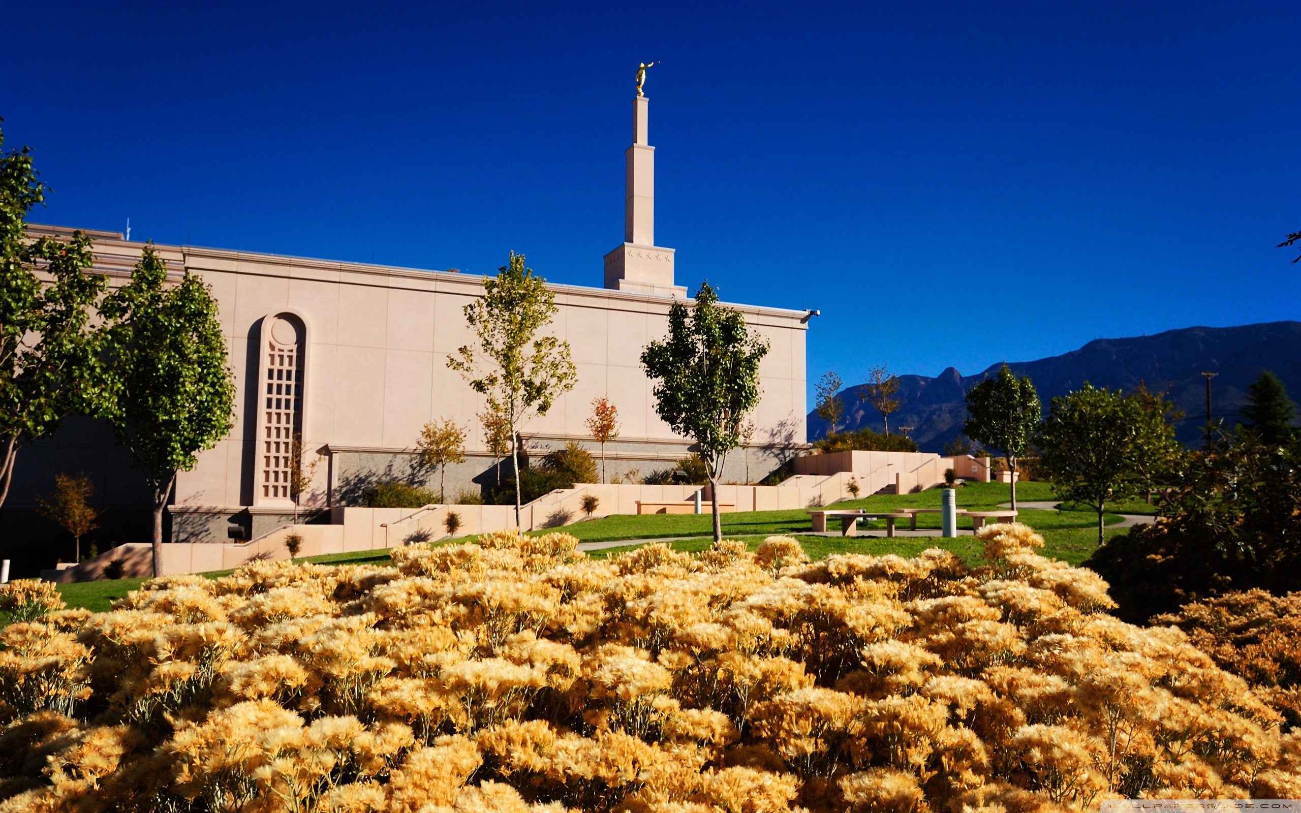 Albuquerque New Mexico Temple, October ❤ 4K HD Desktop Wallpaper