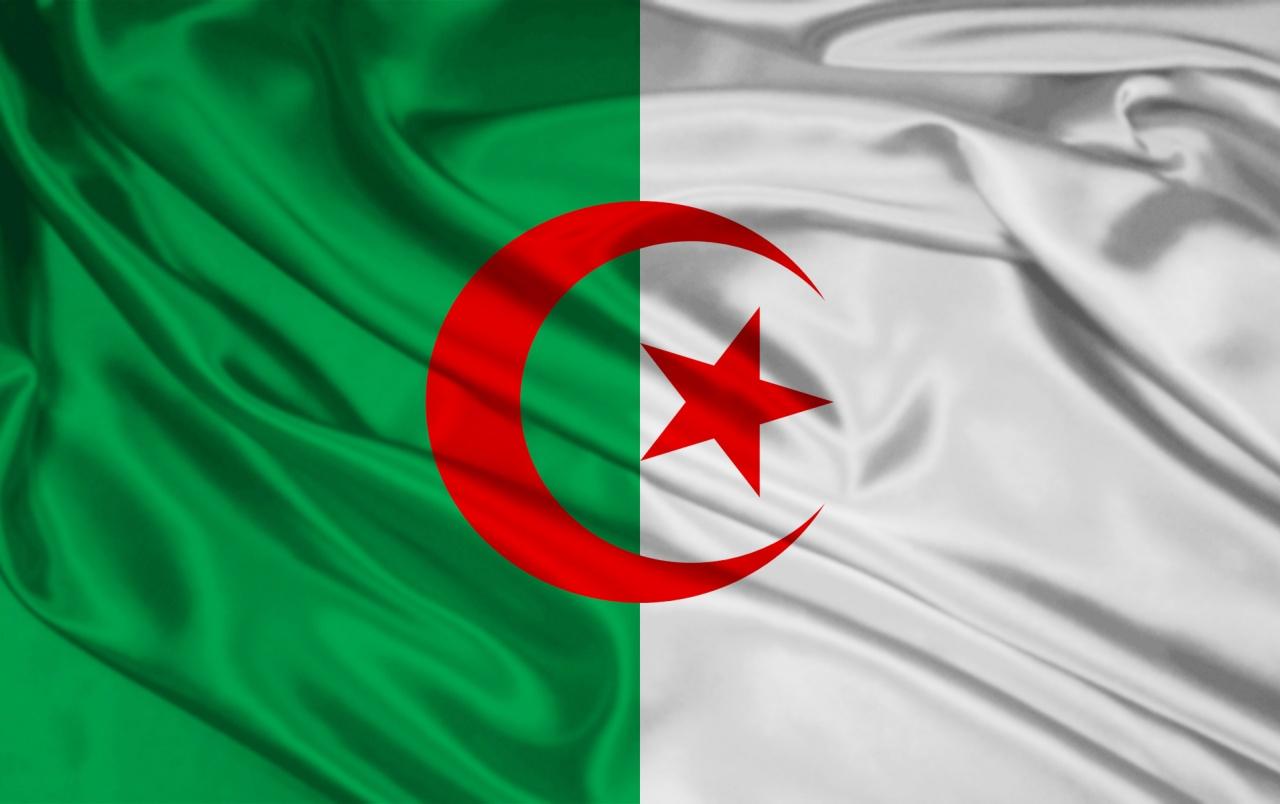 Algeria Flag wallpaper. Algeria Flag