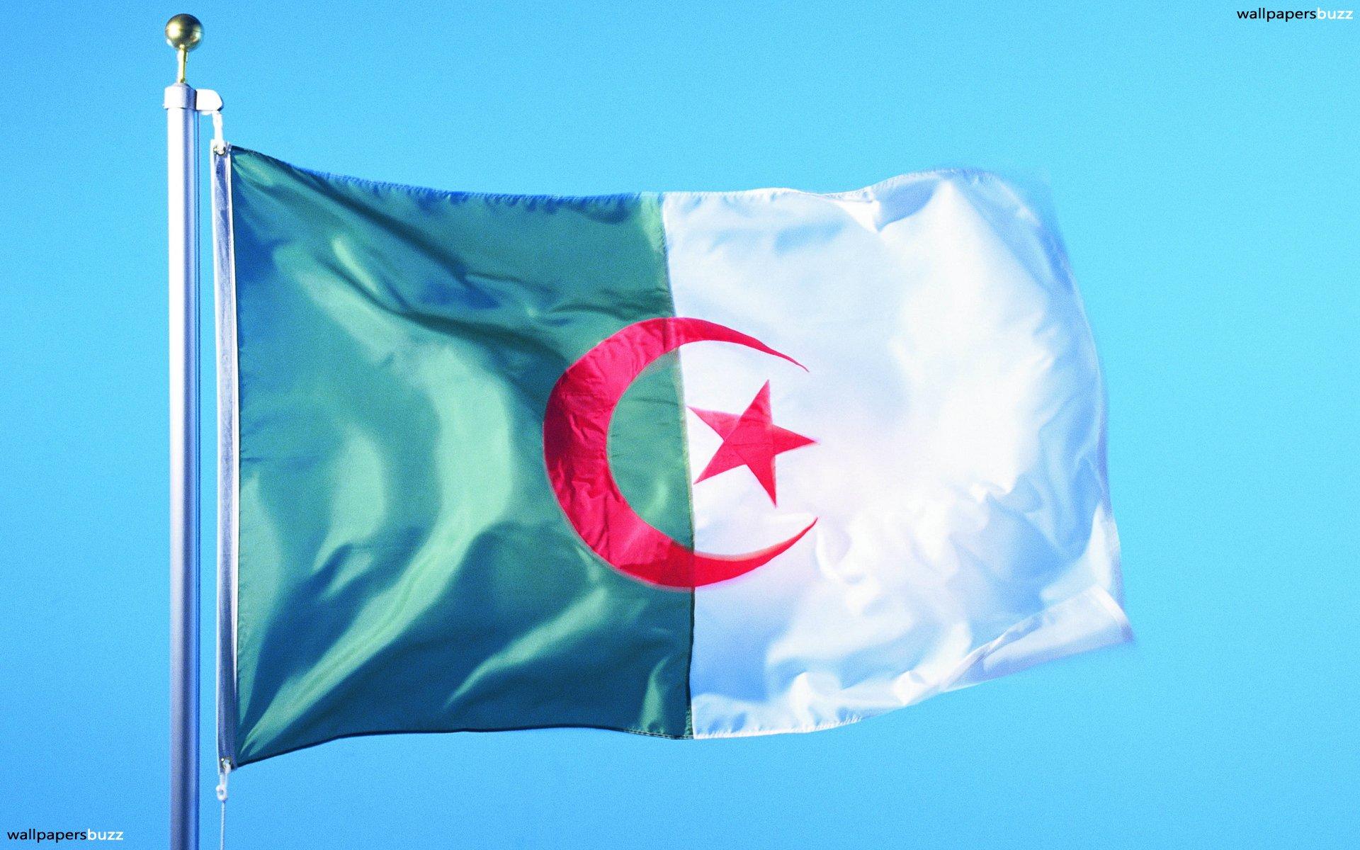 The flag of Algeria HD Wallpaper