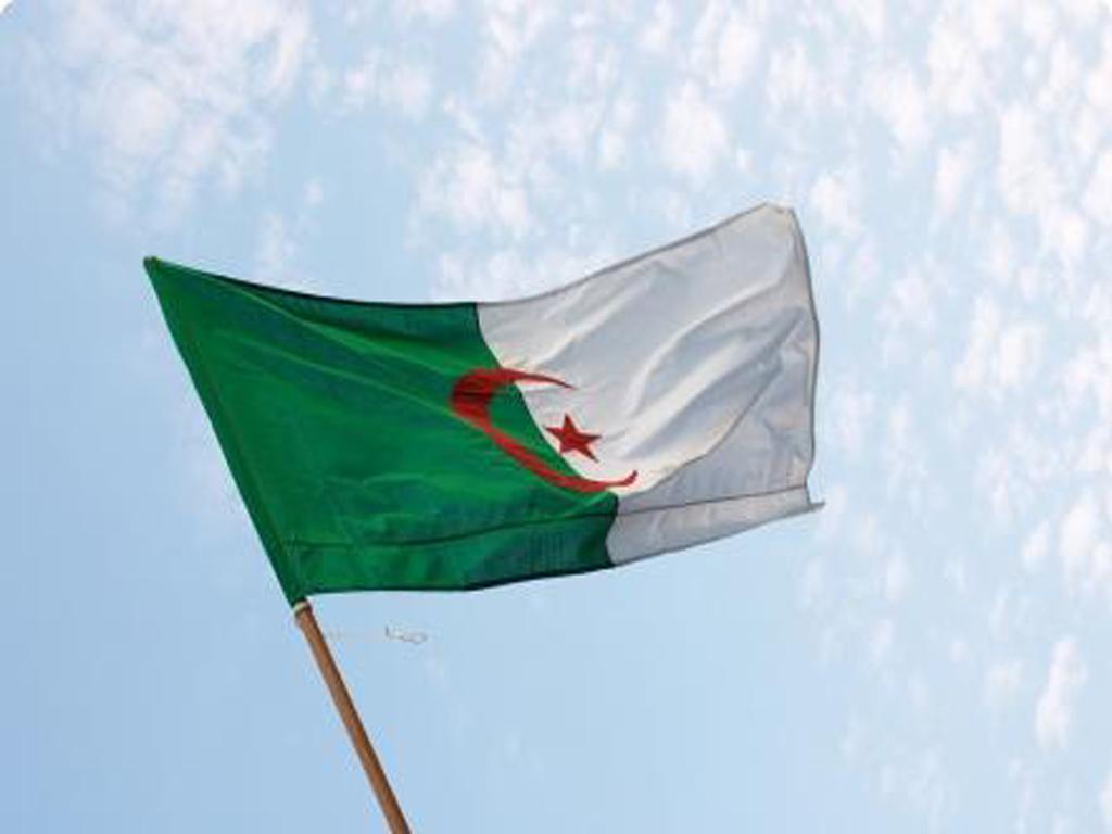 Algeria flag wallpaper