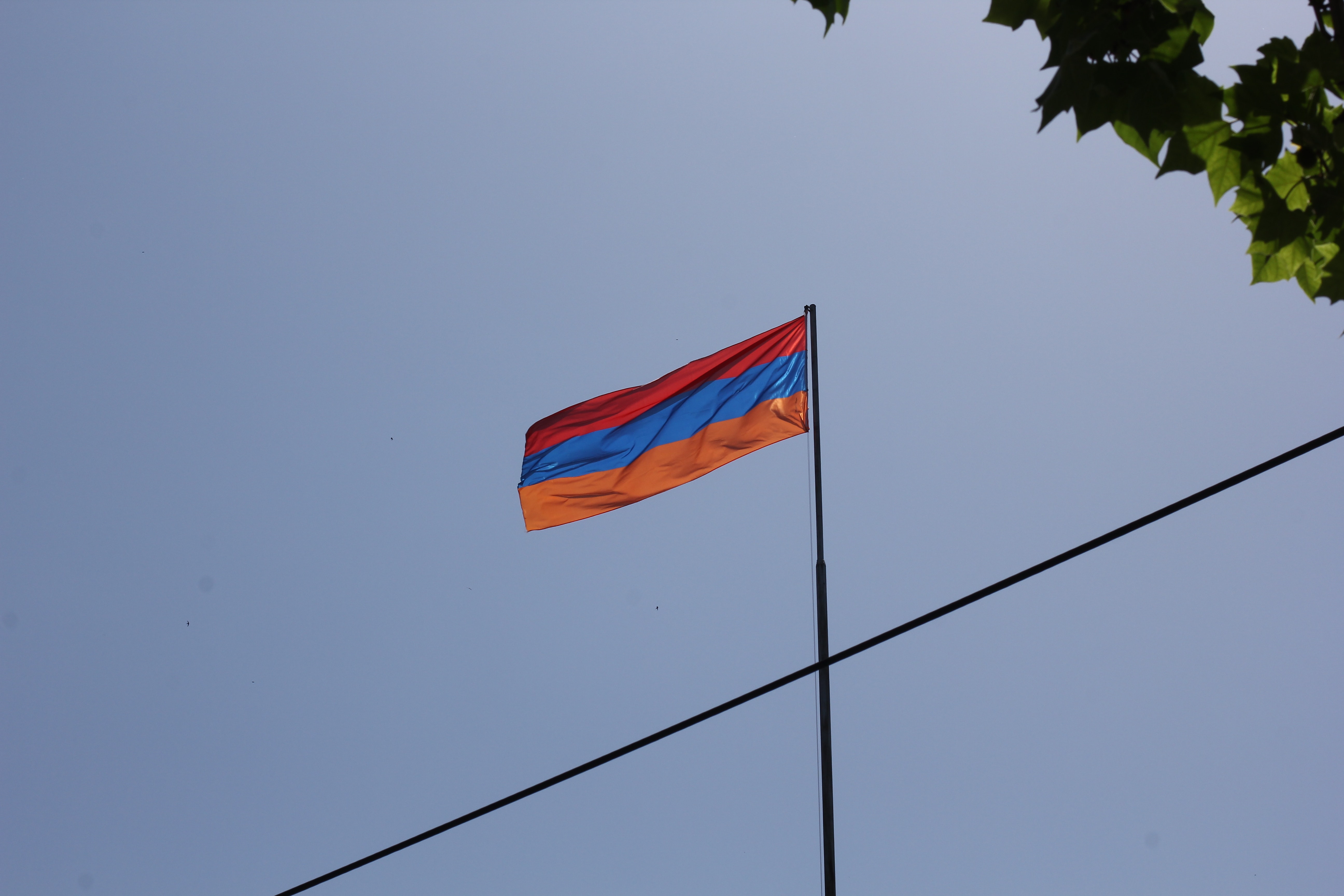 Free of Armenian Flag, Flag waving