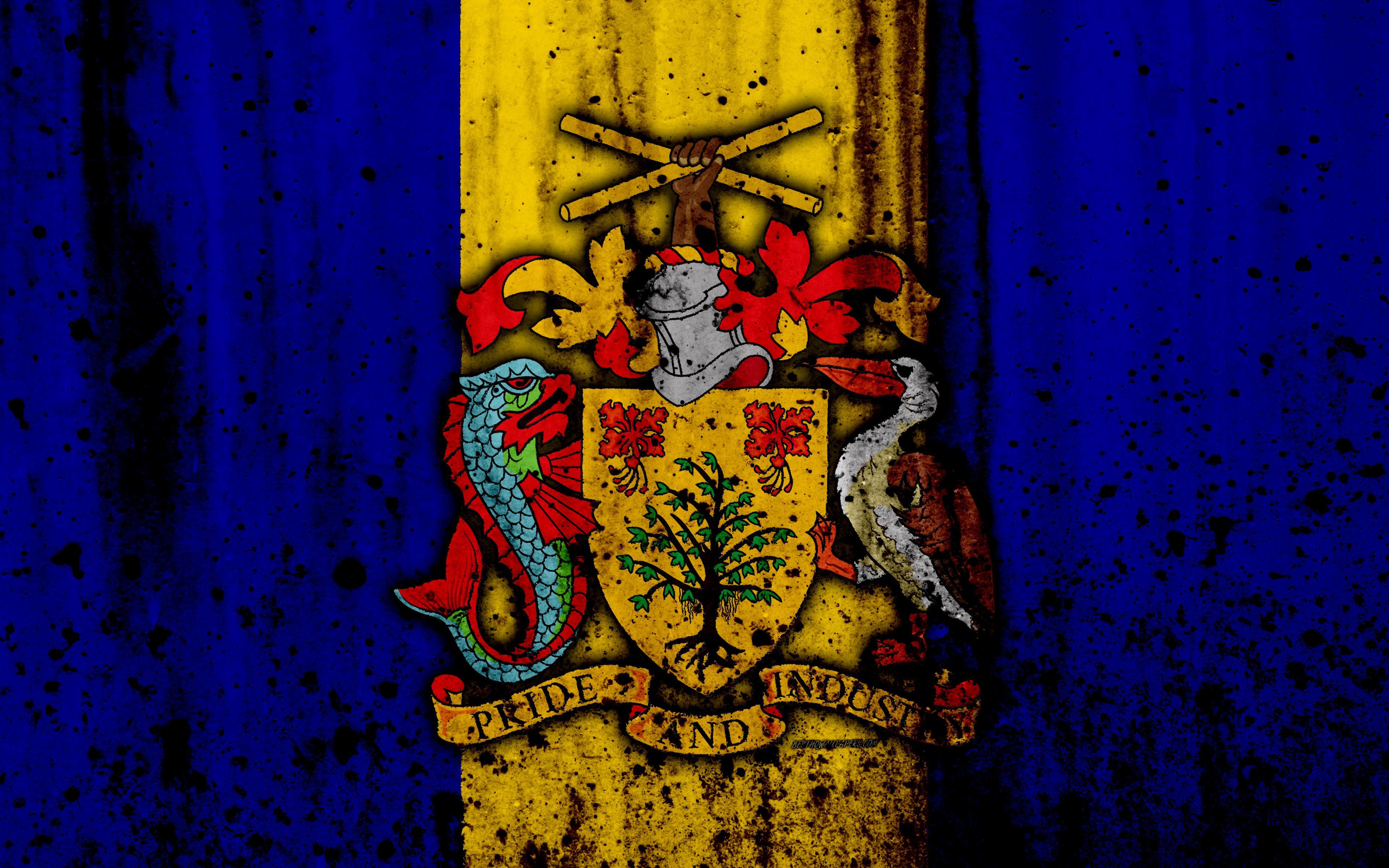 Download wallpaper Barbados flag, 4k, grunge, flag of Barbados