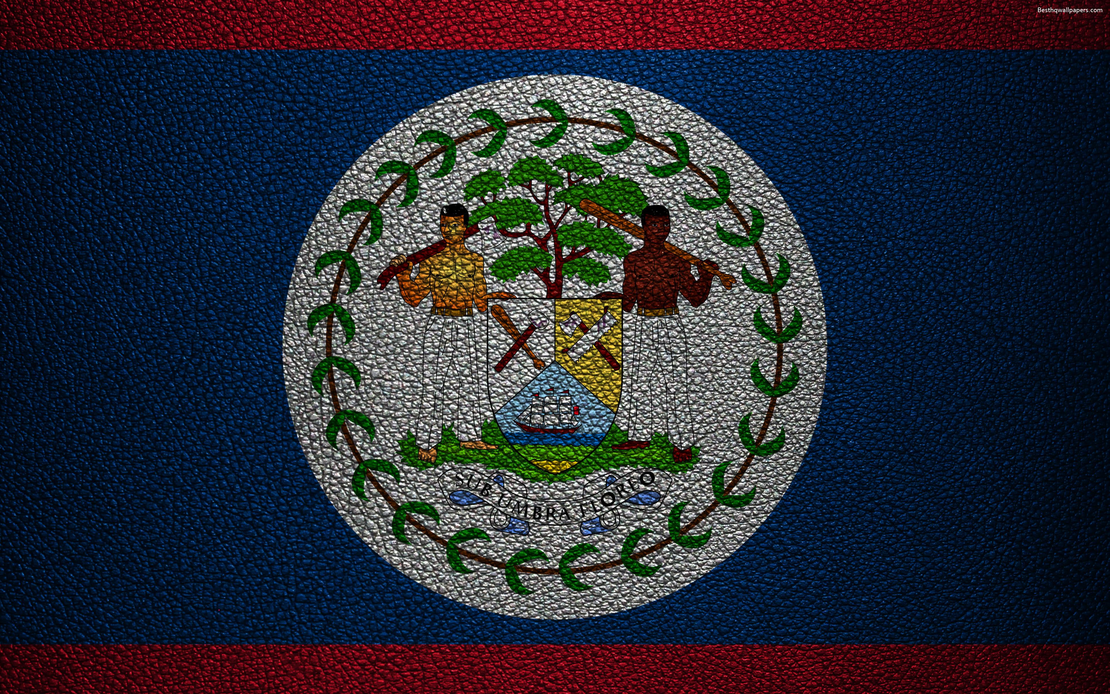 Download wallpaper Flag of Belize, 4k, leather texture, North