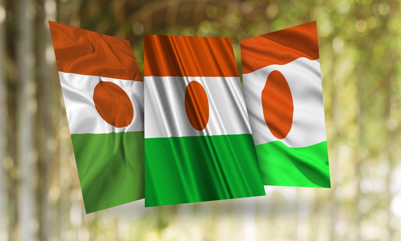 Niger Flag Wallpaper for Android