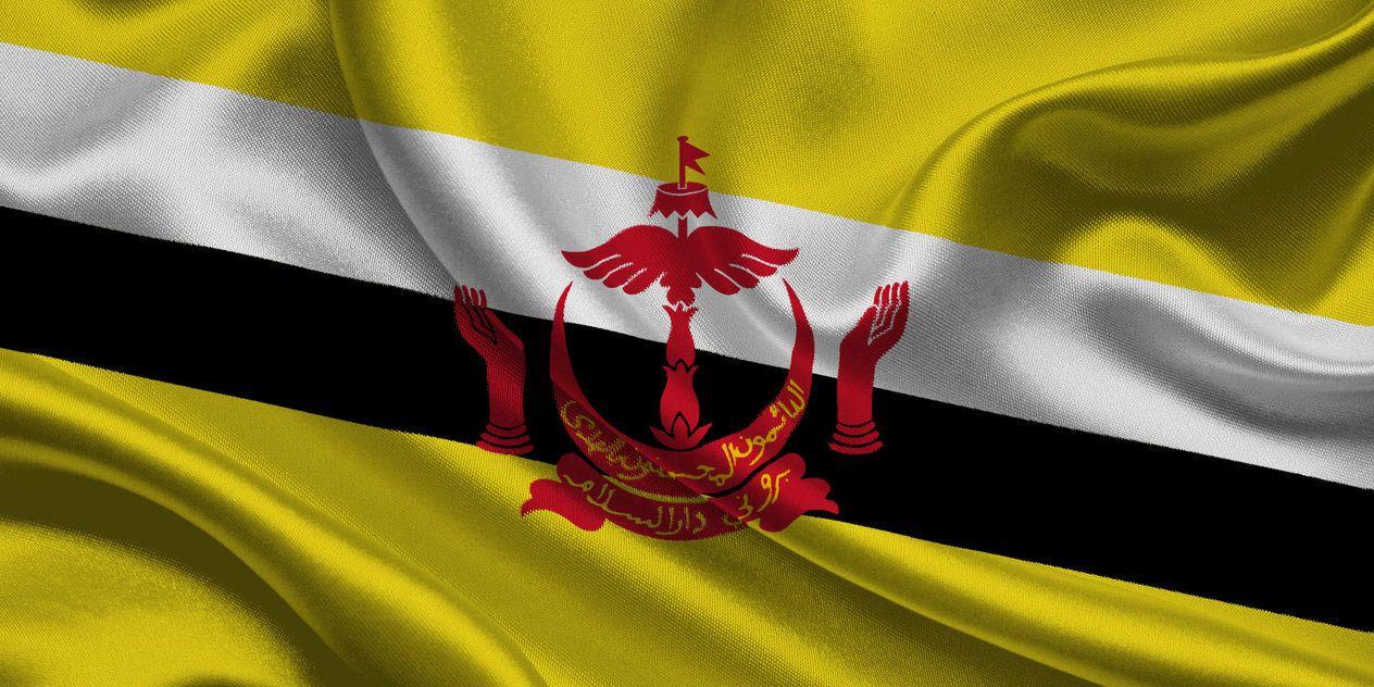 Flag of Brunei Wallpaper in 3D. Free