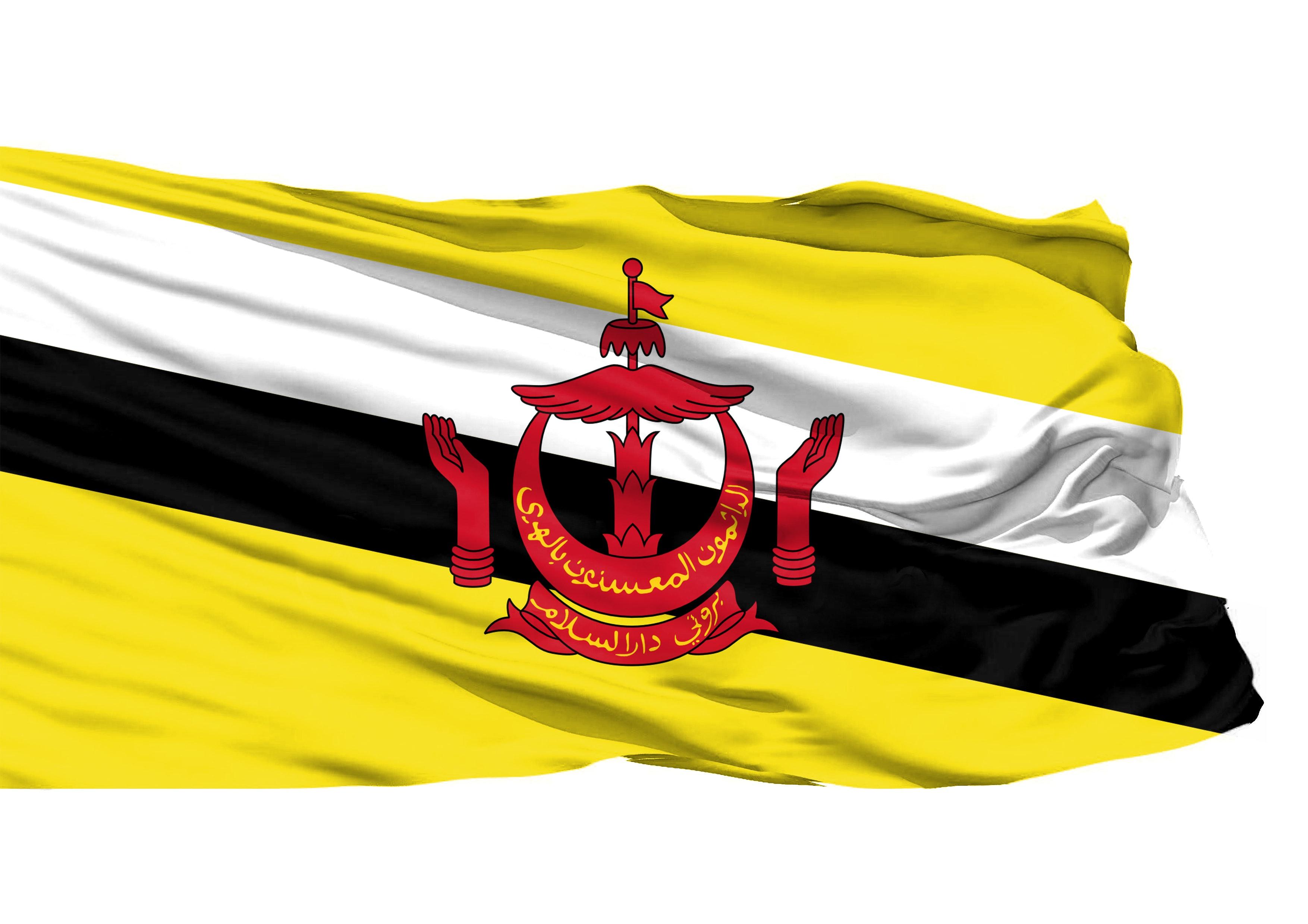 Free of Brunei 3D Flag