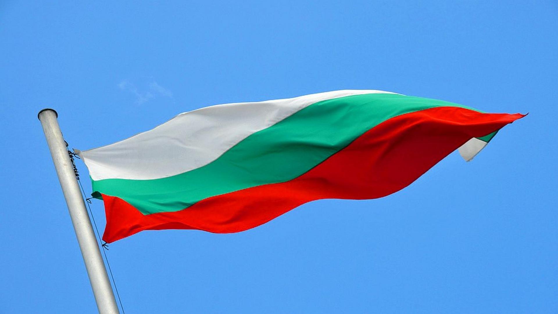 Bulgarien Flag Wallpaper Billedgalleri